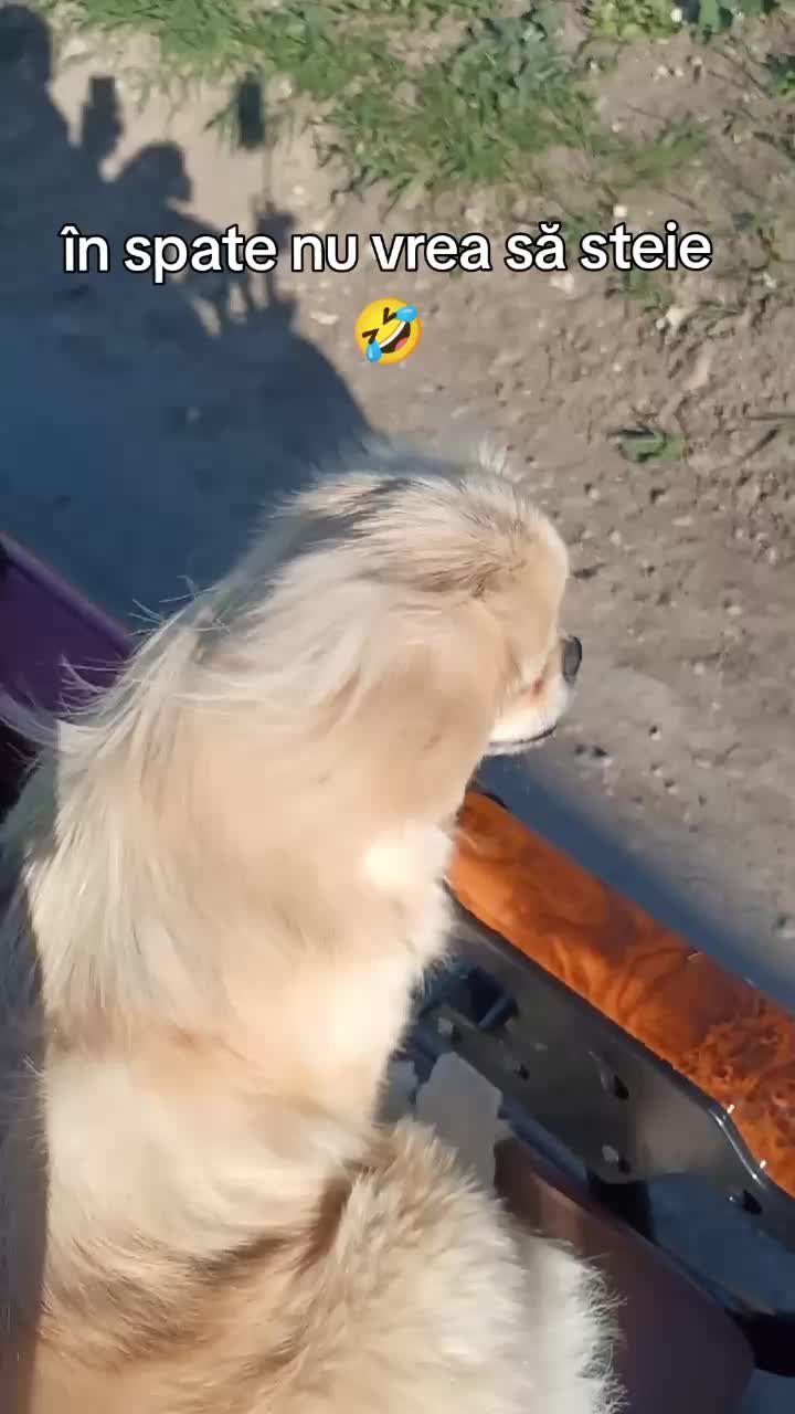 @Jacky_TikTok