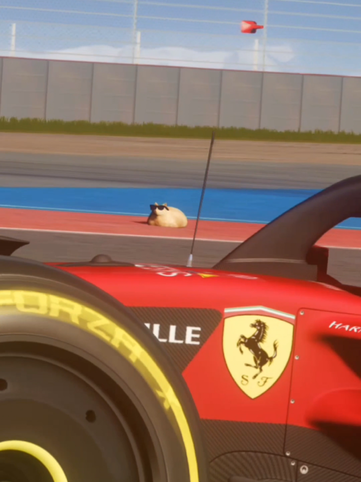 @Pablo the Race Cat