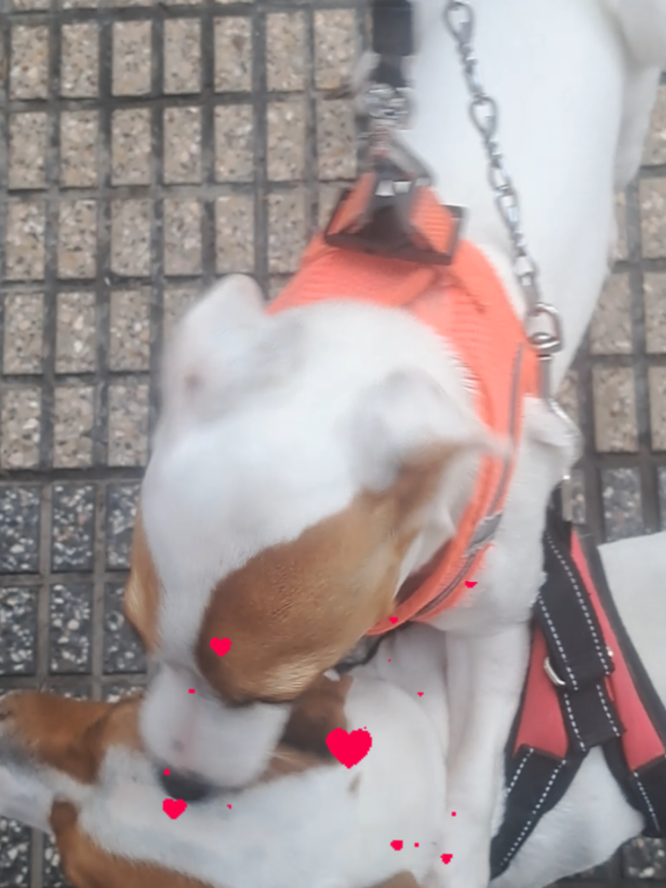 @M&iacute;a