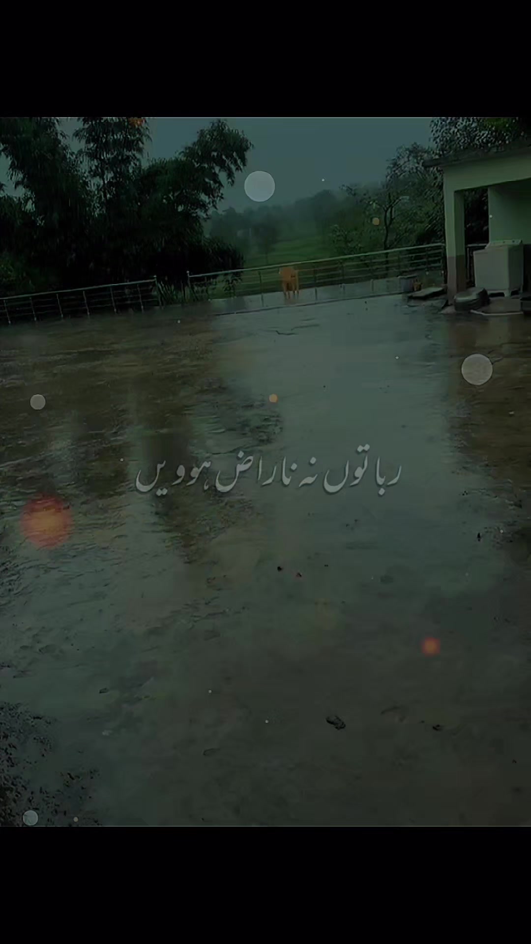 @Syed zaadi