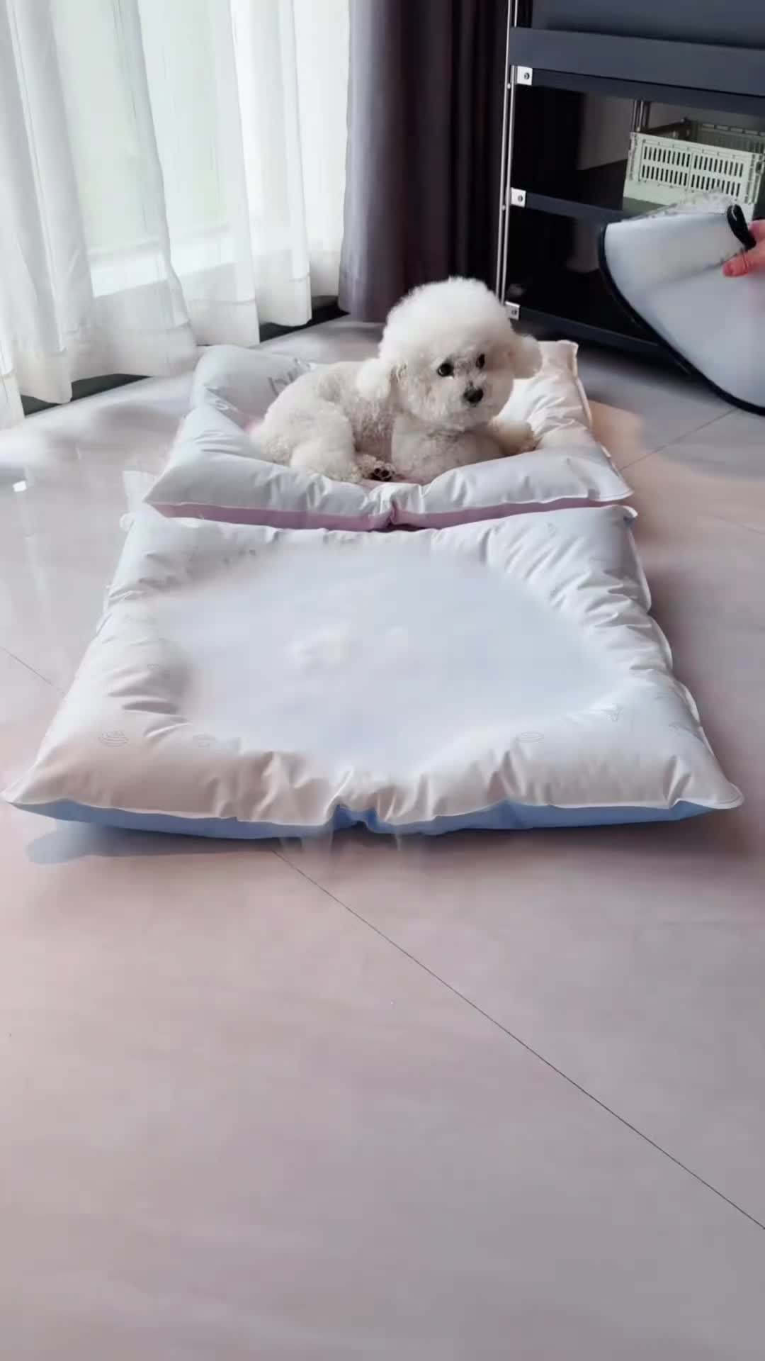 @Pet products