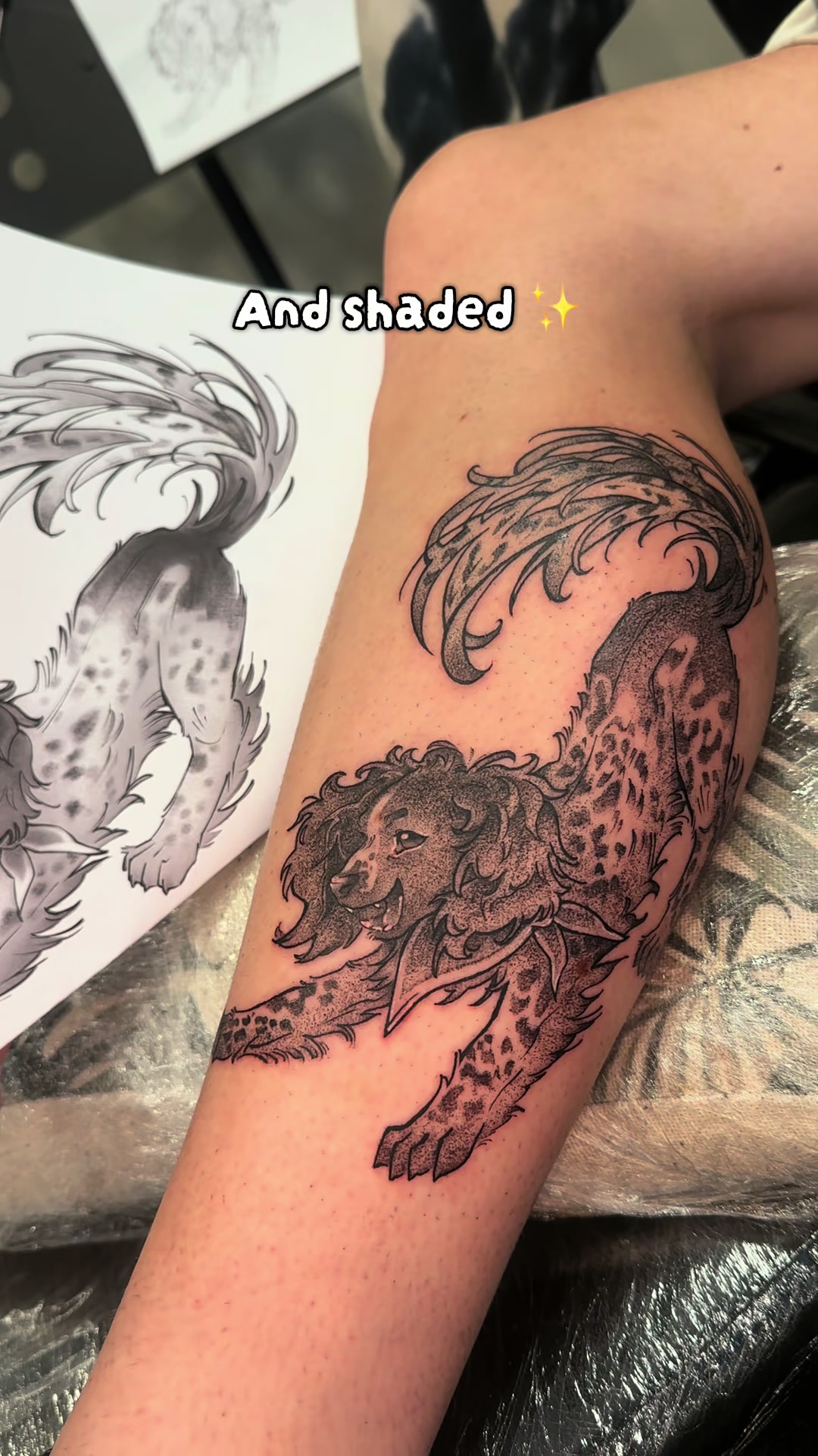 @moggy_tattoo