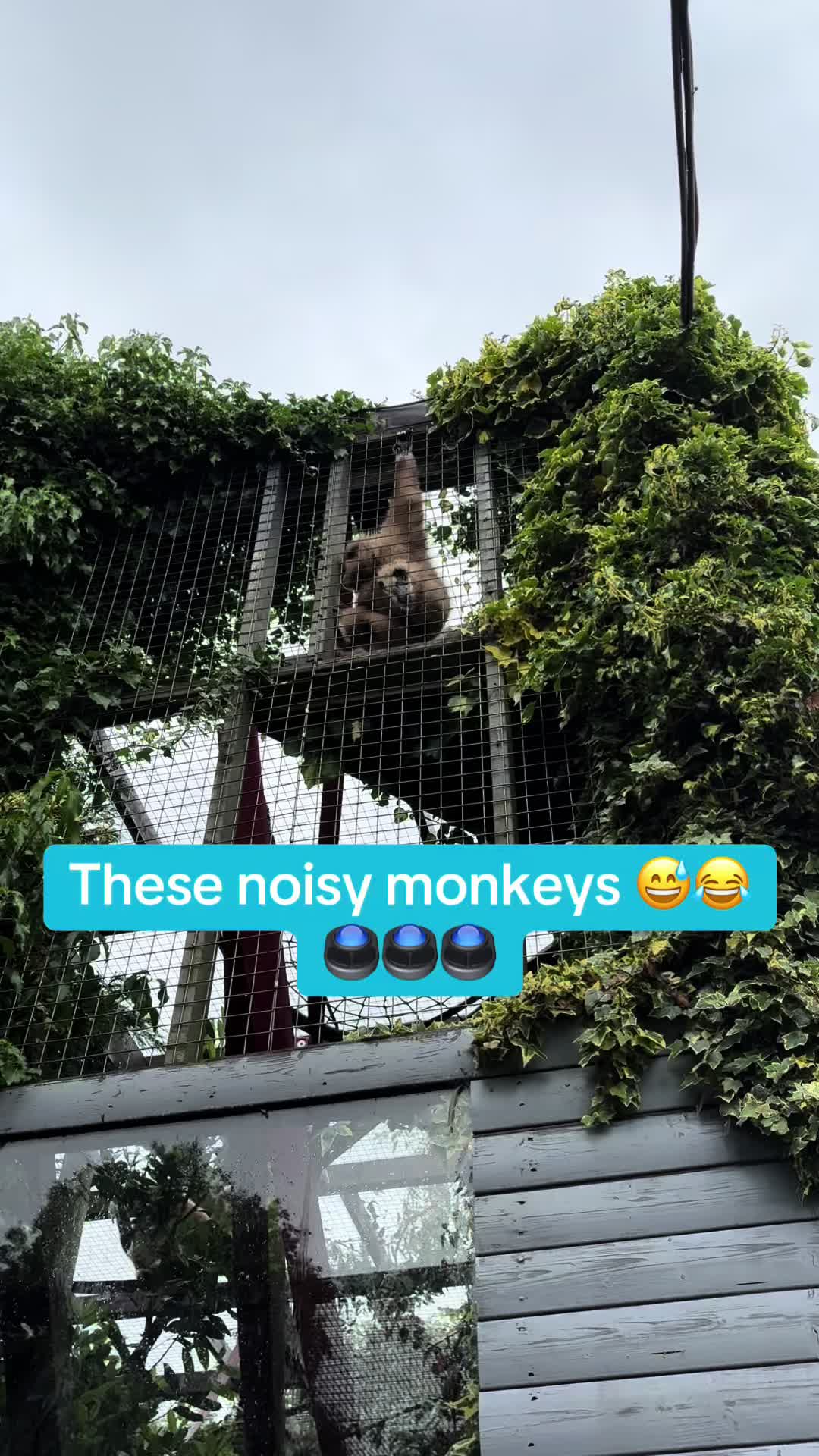 @Jessica-Rose💙🤍GTI 👻 Makaton