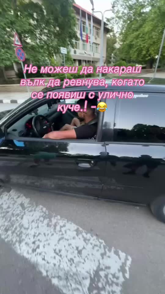 @bayygosho