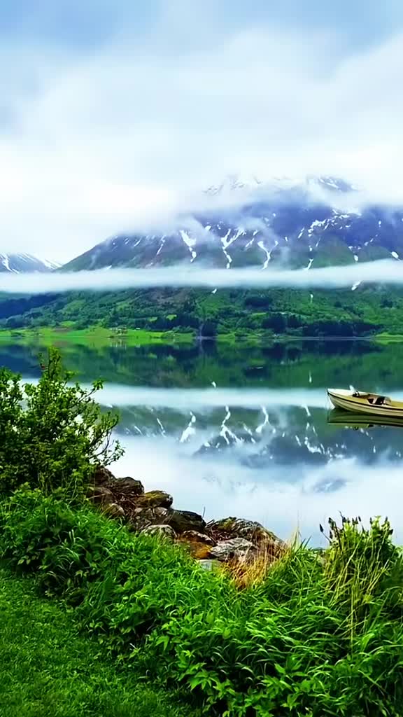 @beautiful world vibes