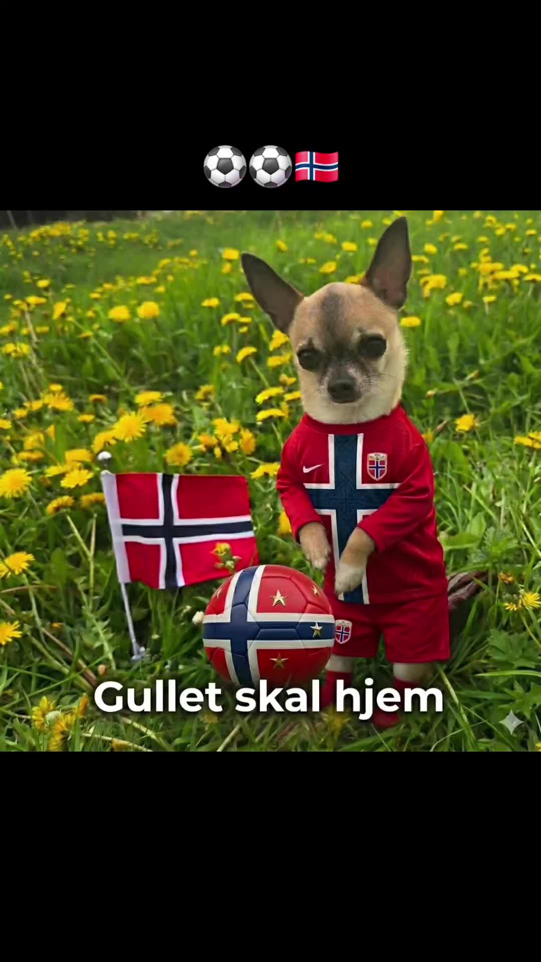 @Mailen Mikkelsen