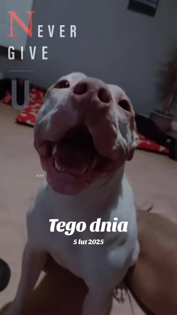 @Zeus.Bella1