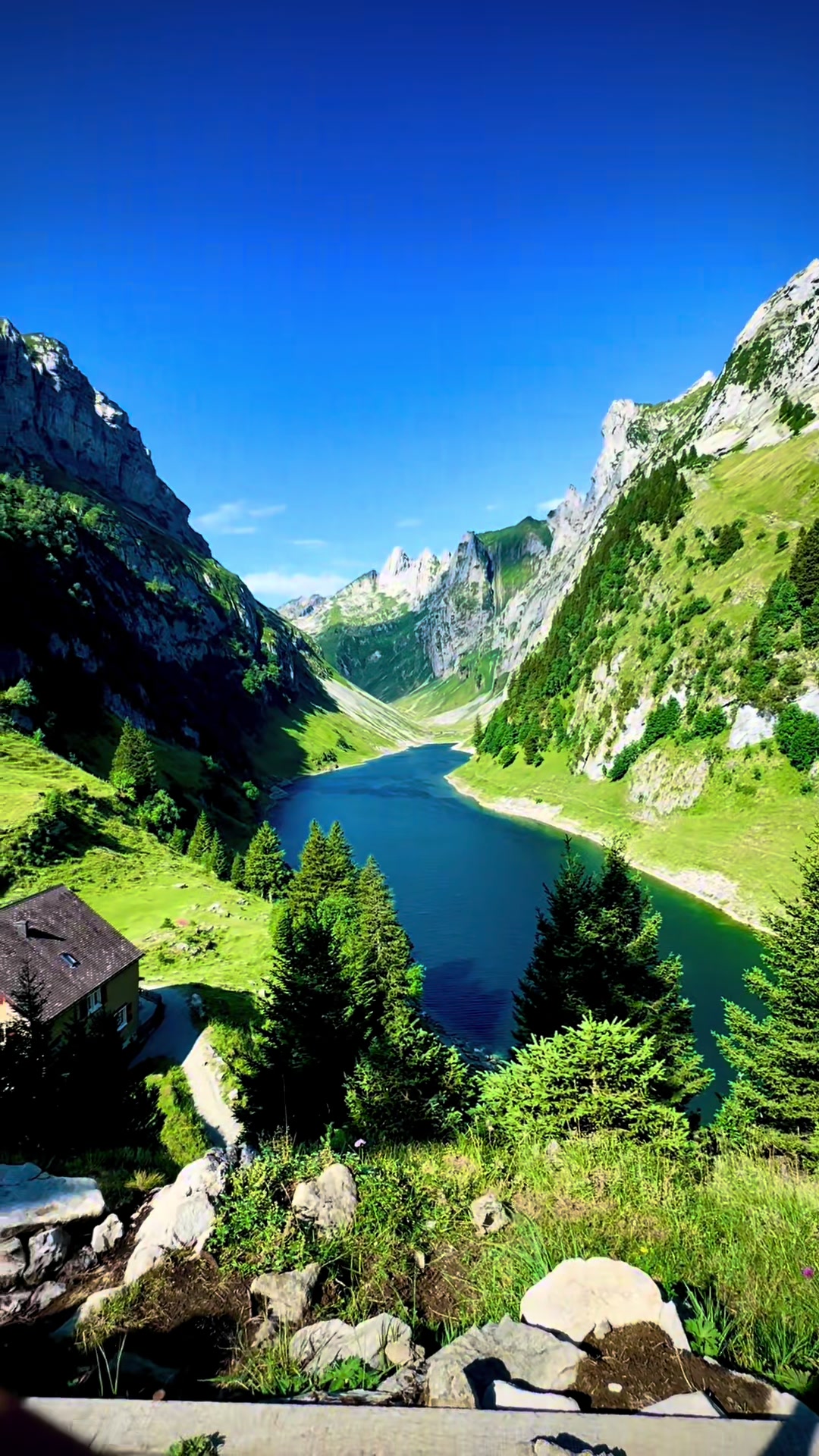 @Swiss_Vibe 🇨🇭