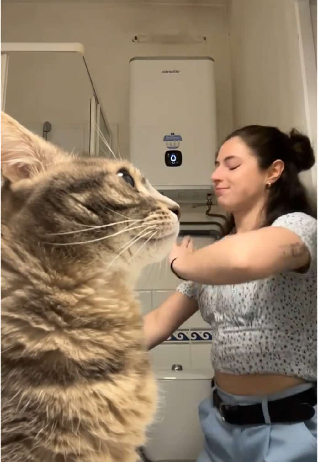 @Le_drama.cat 🇫🇷