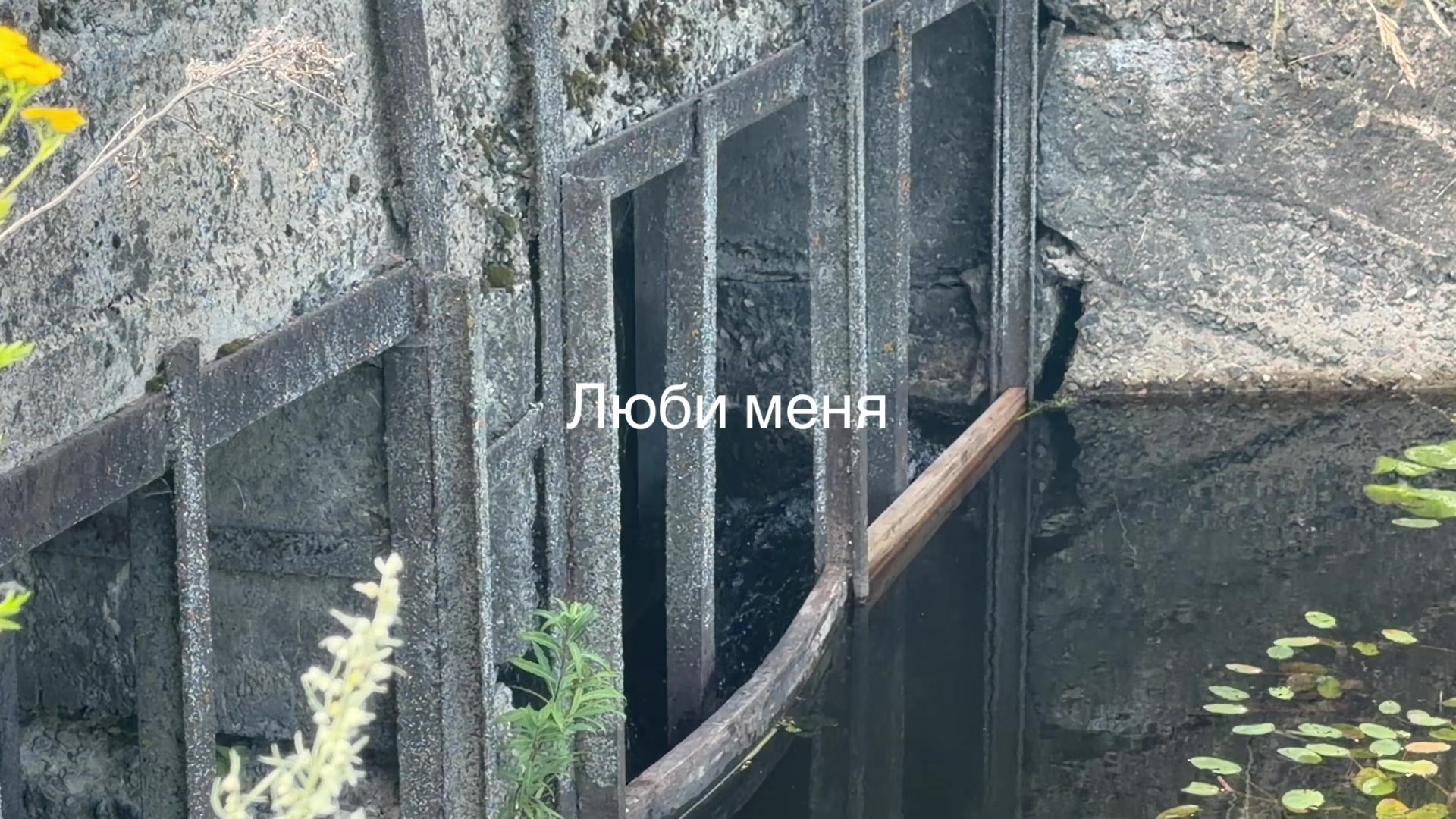 @Санчес#lxvecvlt