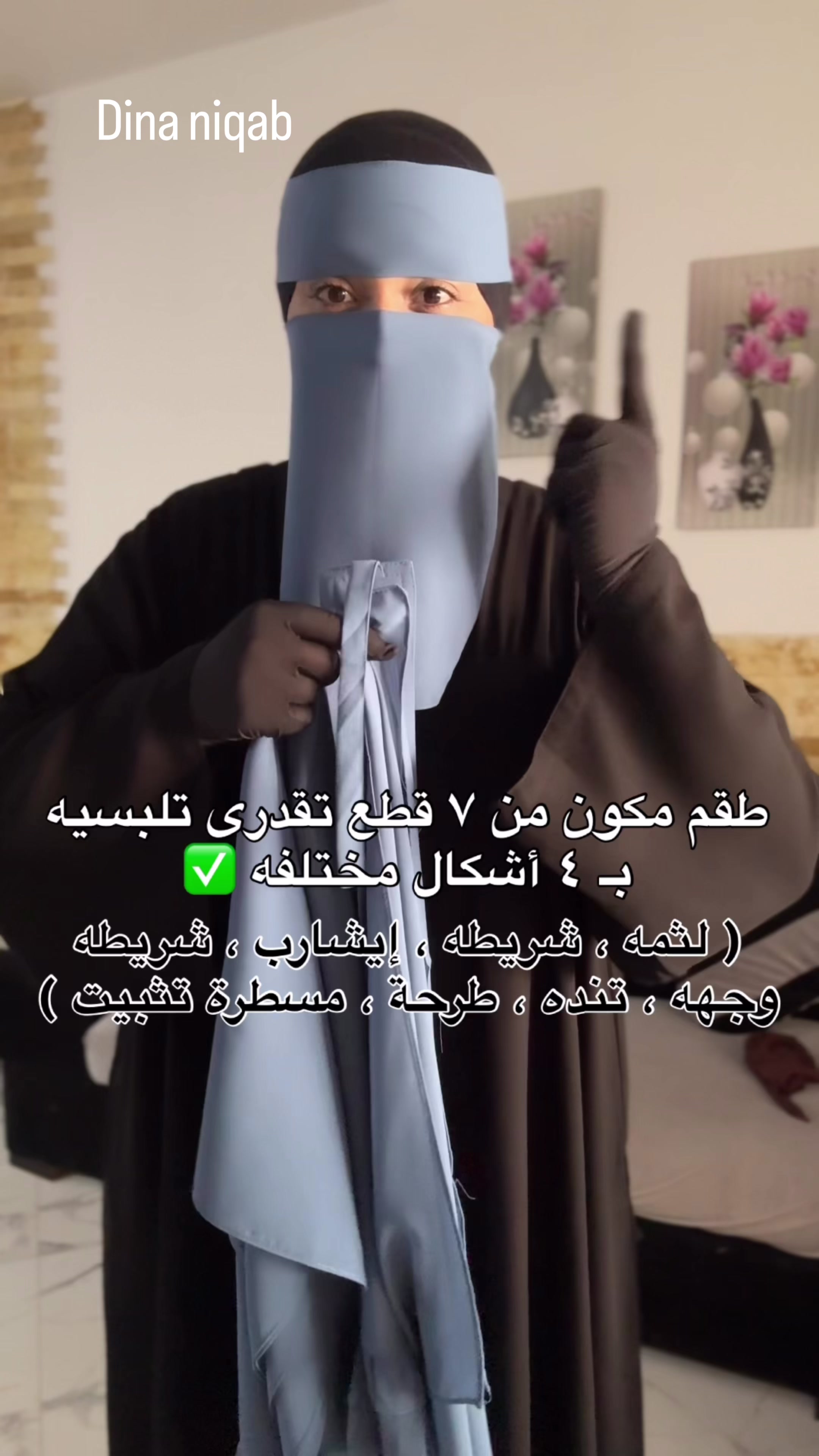 @دينا نقاب _ Dina Niqab