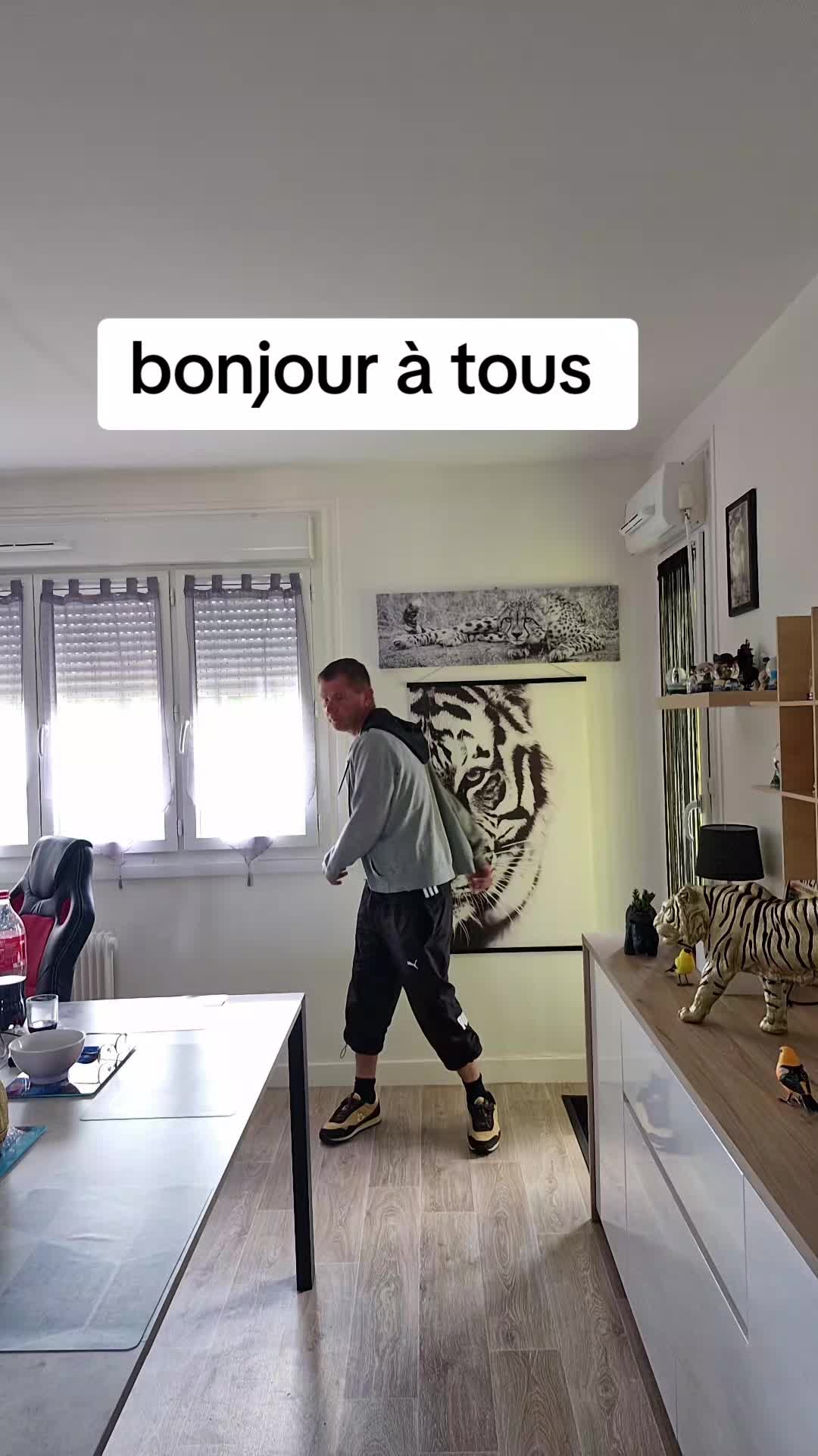 @Le ph&eacute;nix