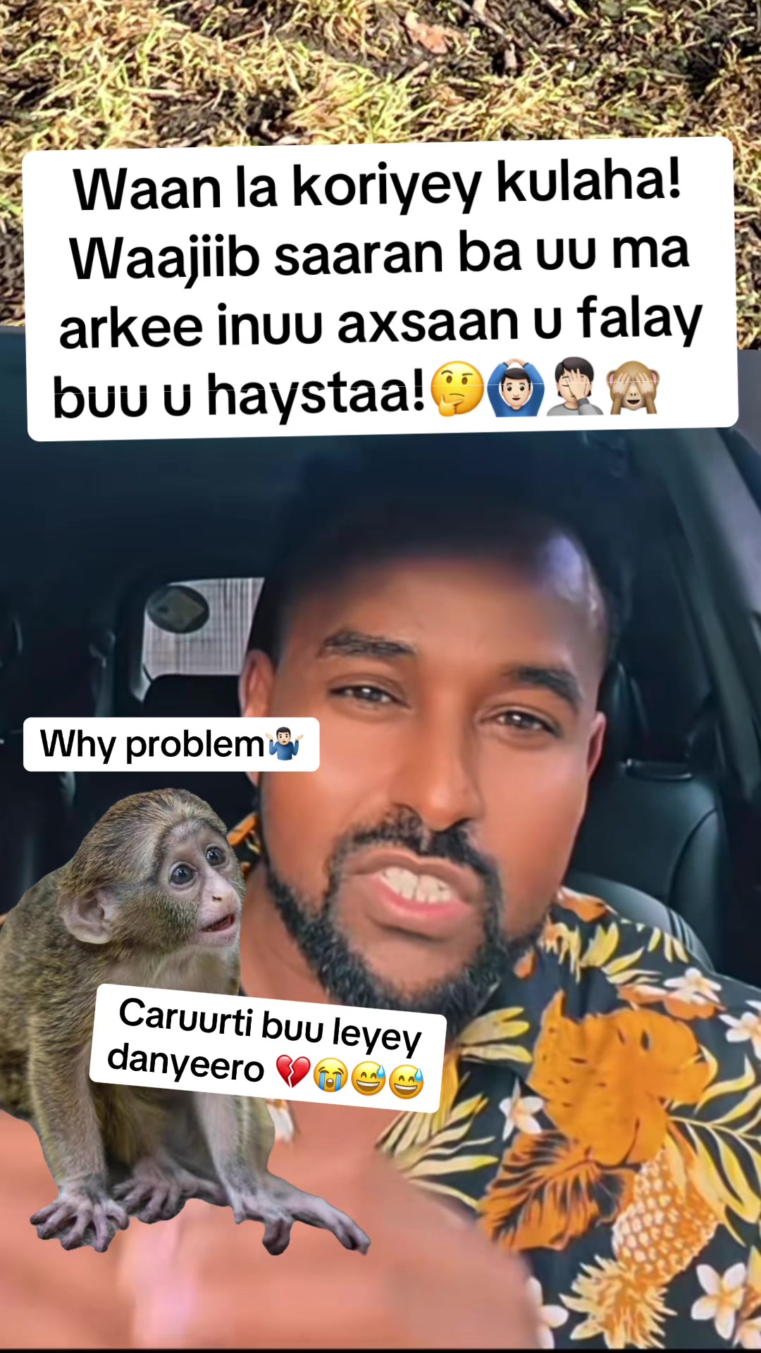 @Aaliyah Warsame 🇦🇺🦜