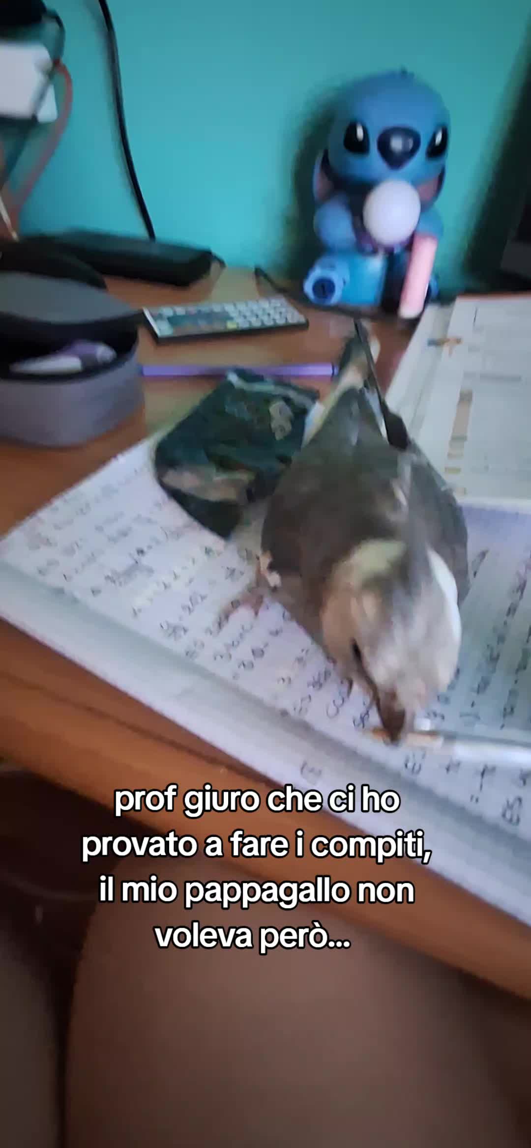 @💤