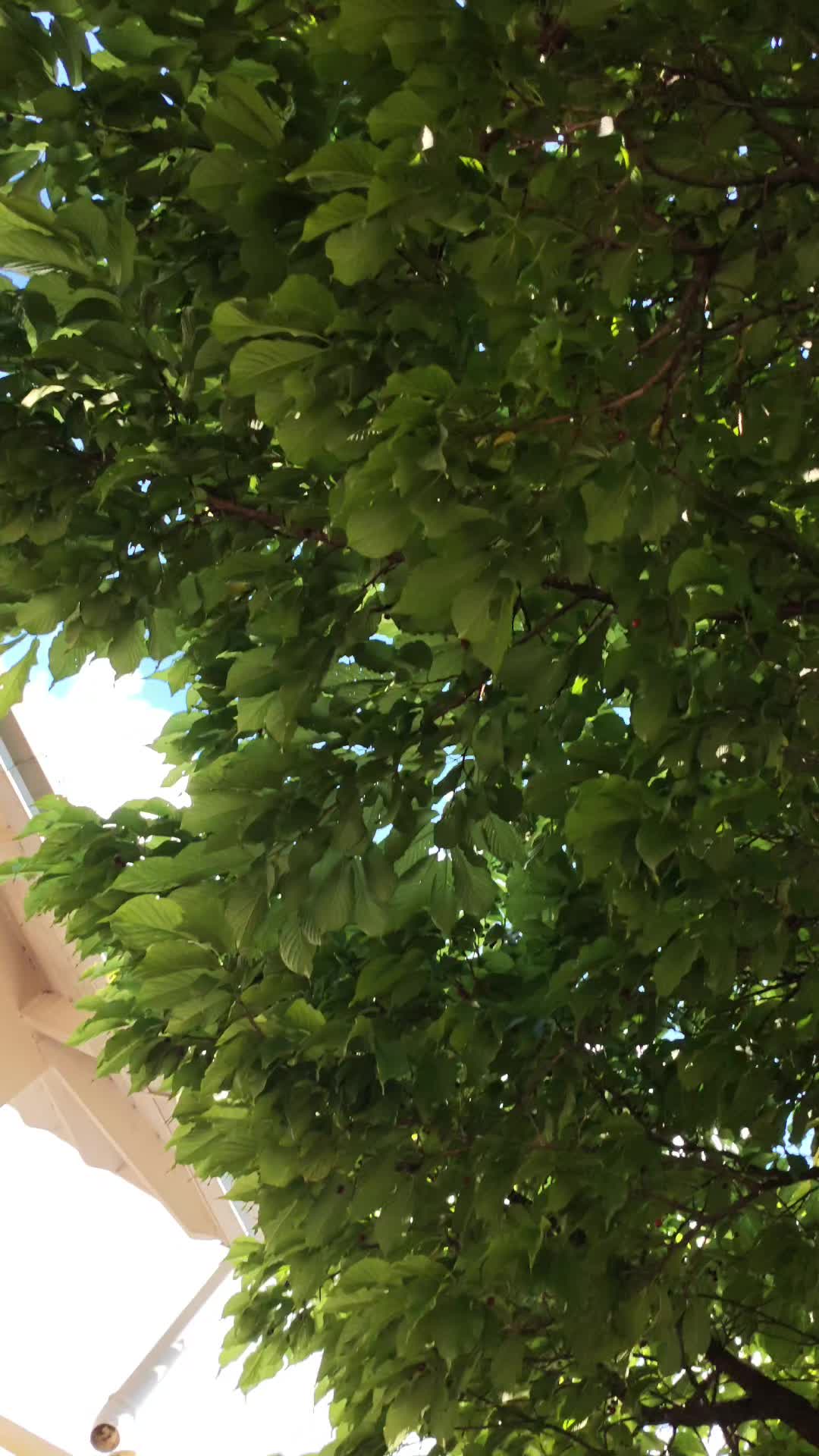 @kita244
