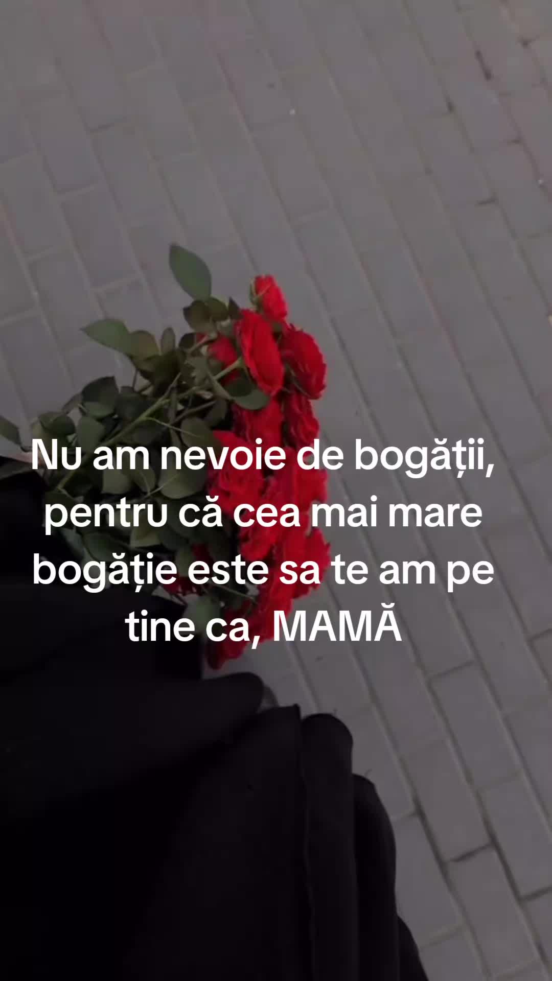@Andrutza N.Andrutza