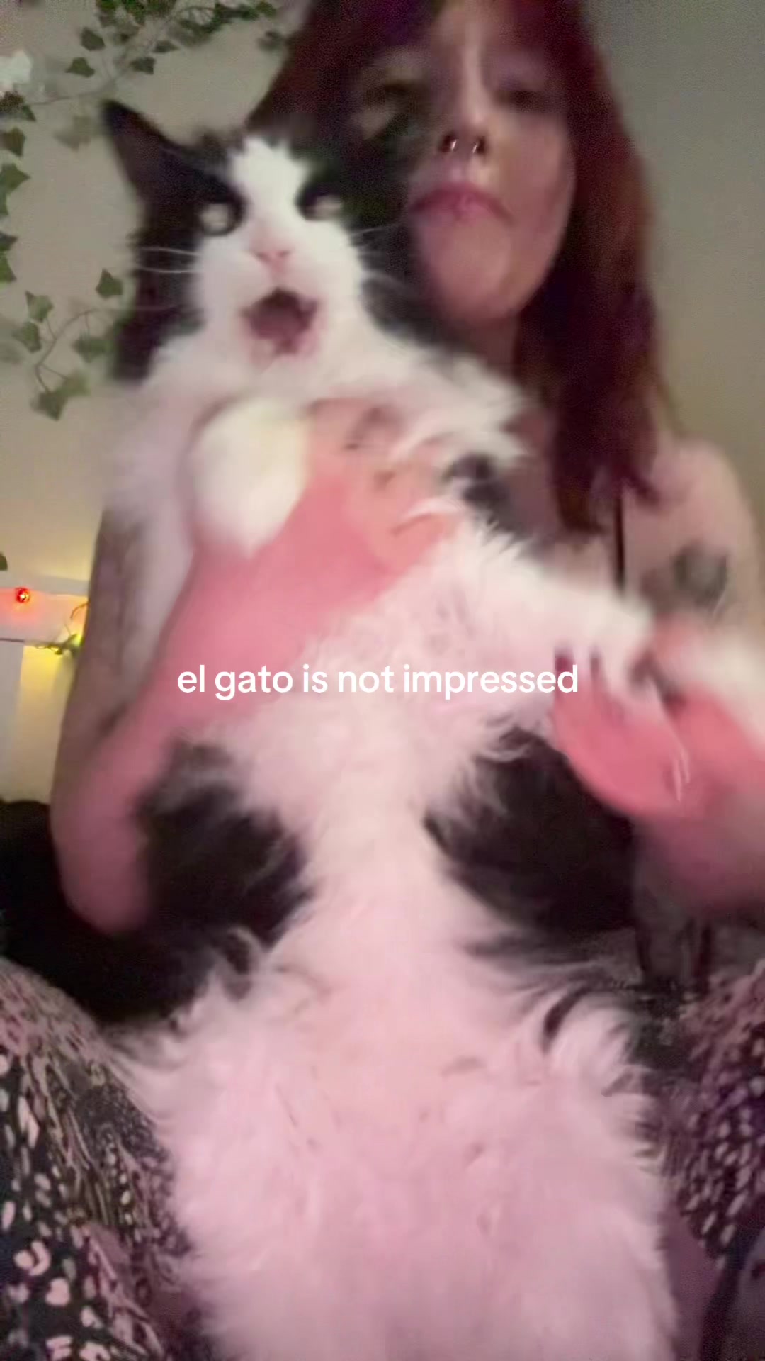 @sani 𓃬