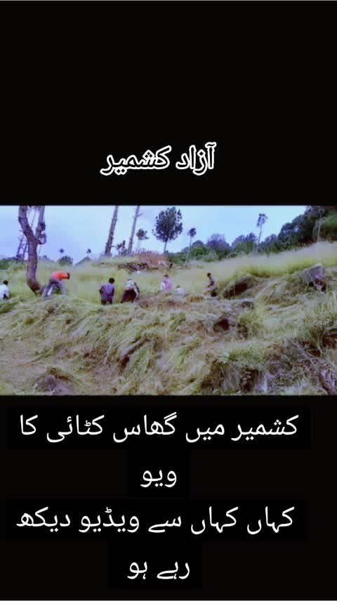 @،🌹🌹Dil ki baat Dil Tek🌹🌹🥀