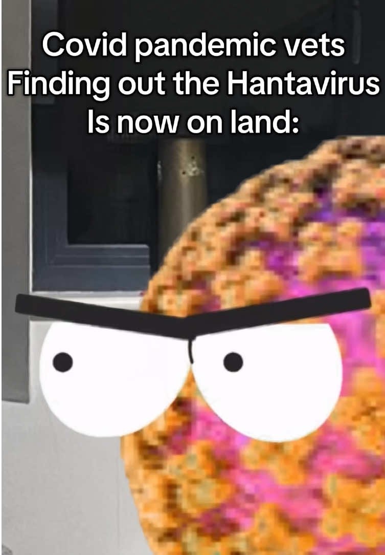 @MondoMations
