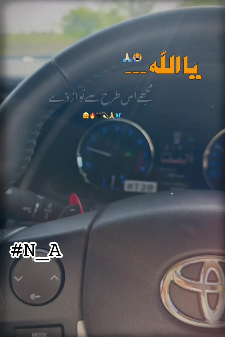 @پنجابی جٹ N_A
