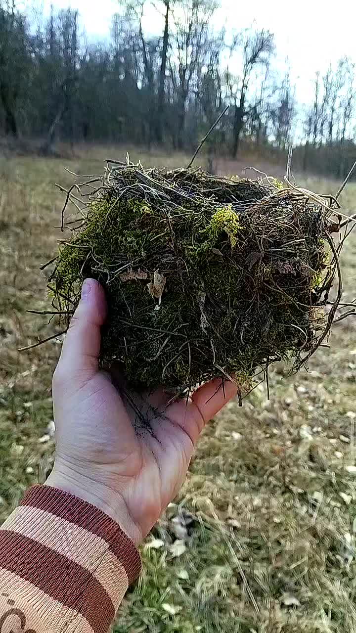@Roberto98
