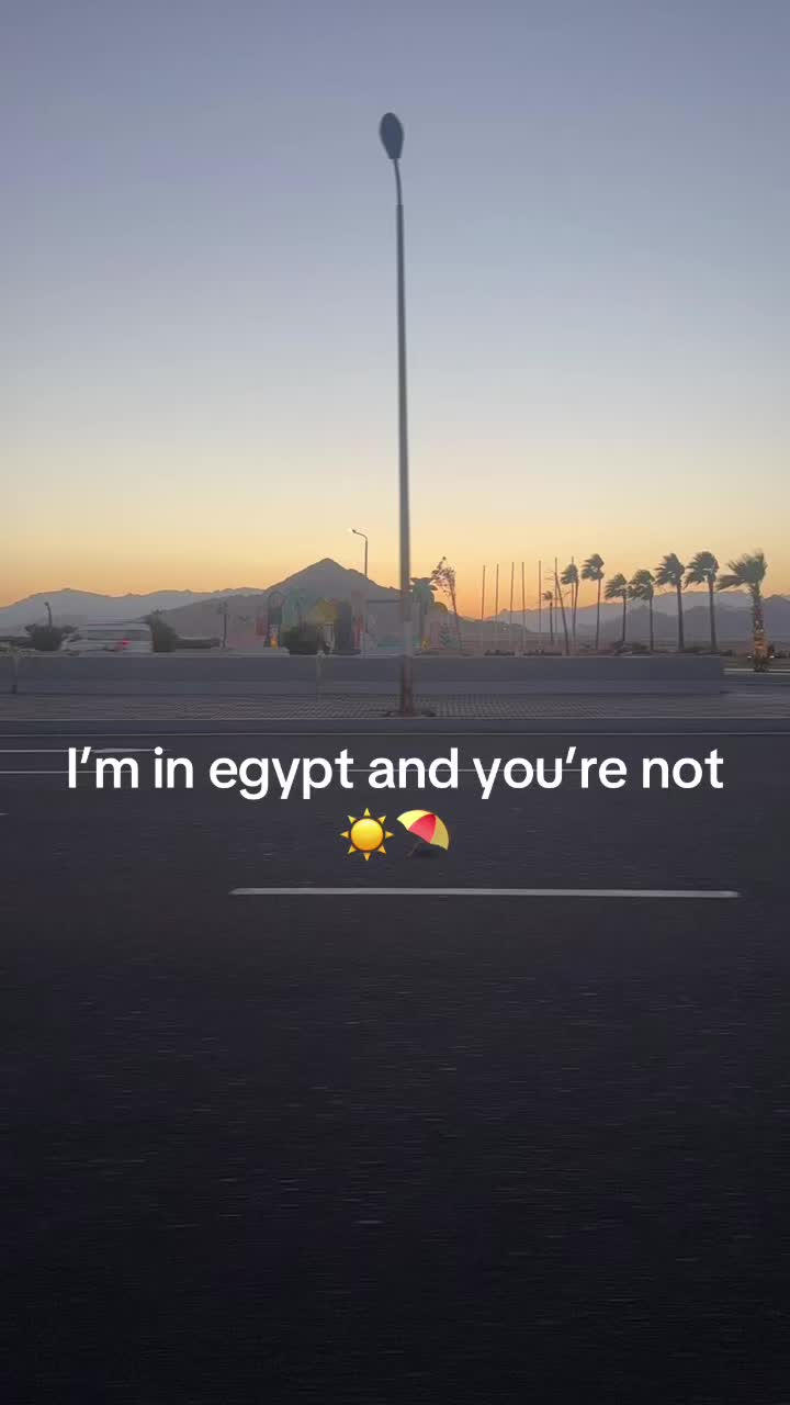 @lily !!