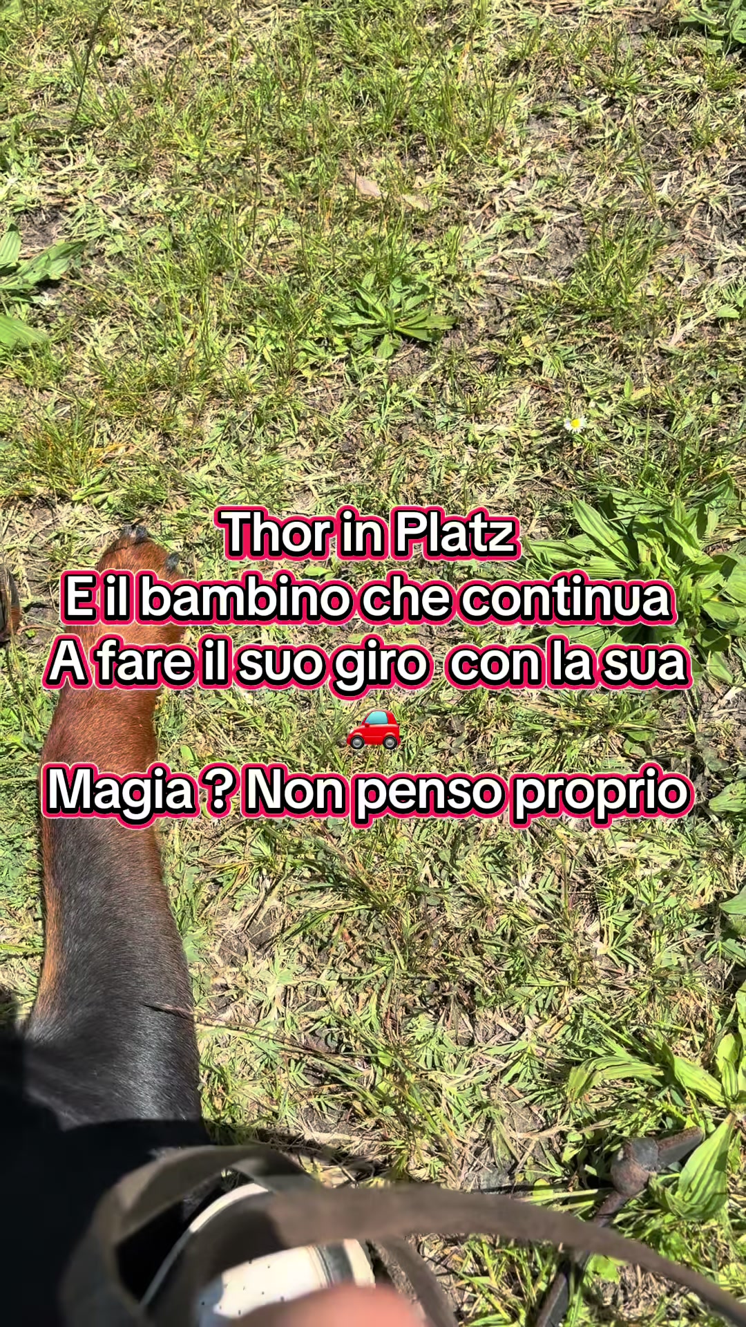 @Le avventure di Thor 🌪️ w ❤️