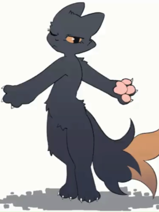 @radywolf