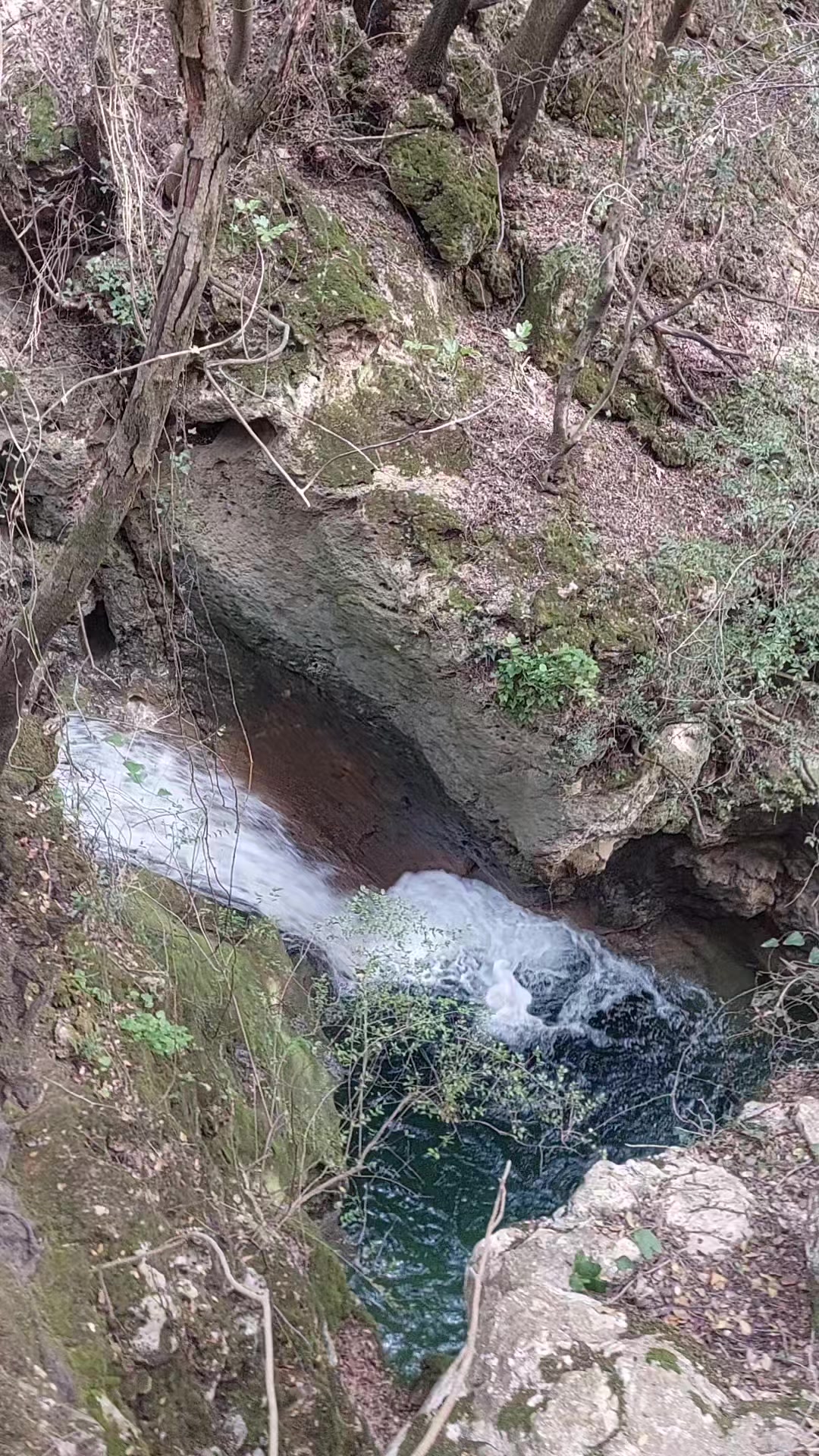 @Artemis_nature
