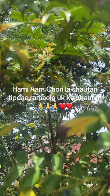 @Kalika Acharya