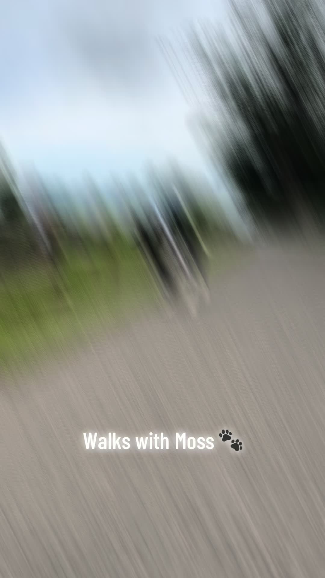 @MagsK