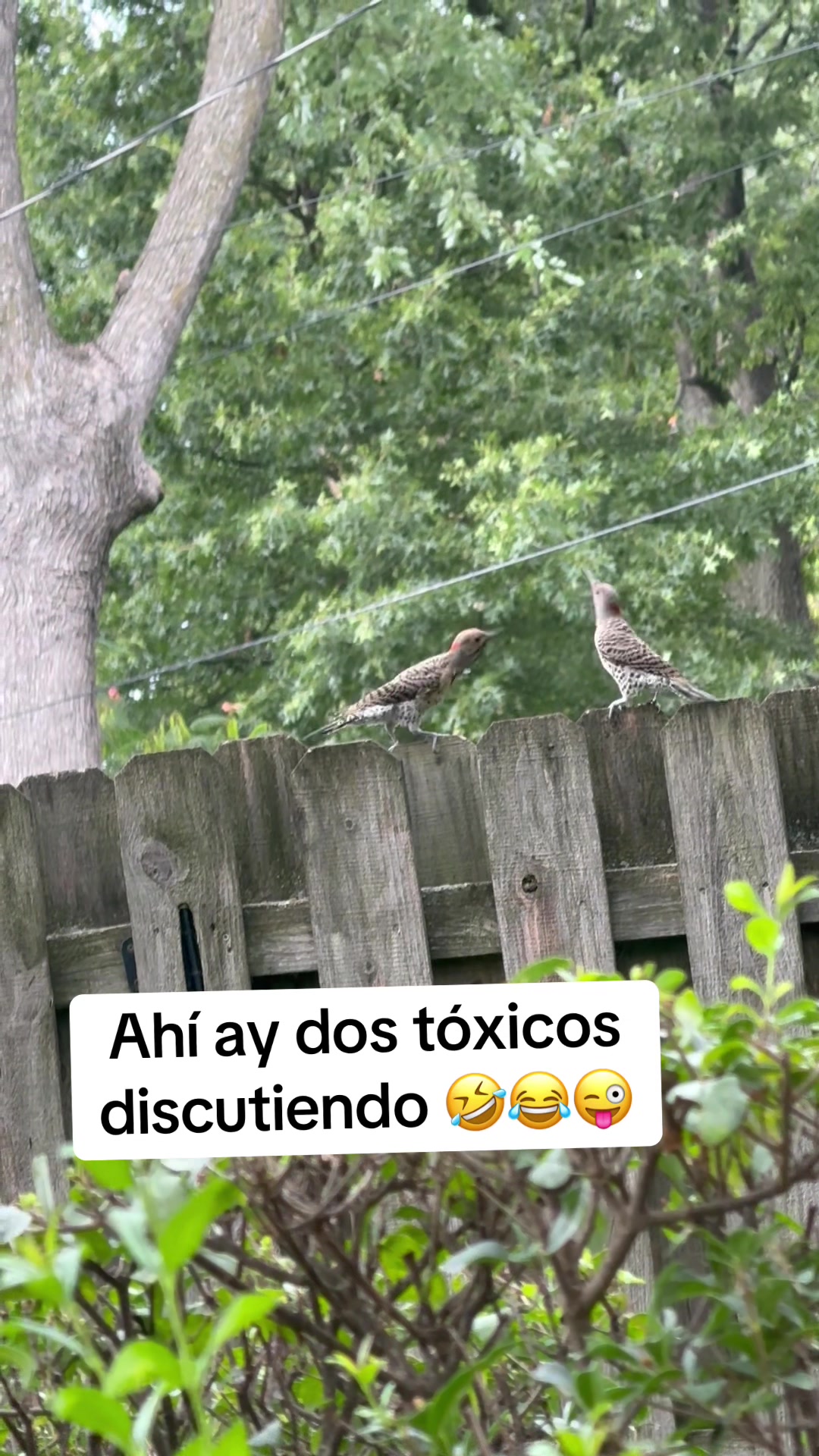 @Chaparita503😉😍