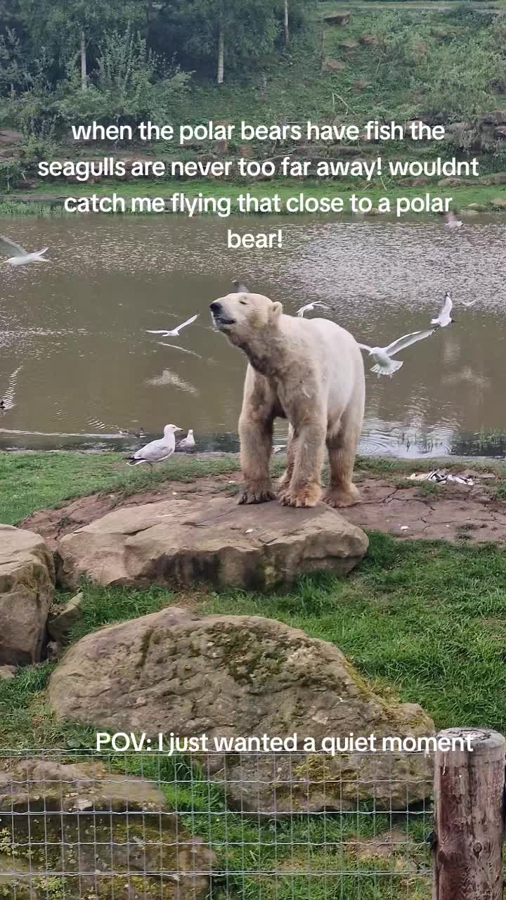 @Amber's Animal Adventures