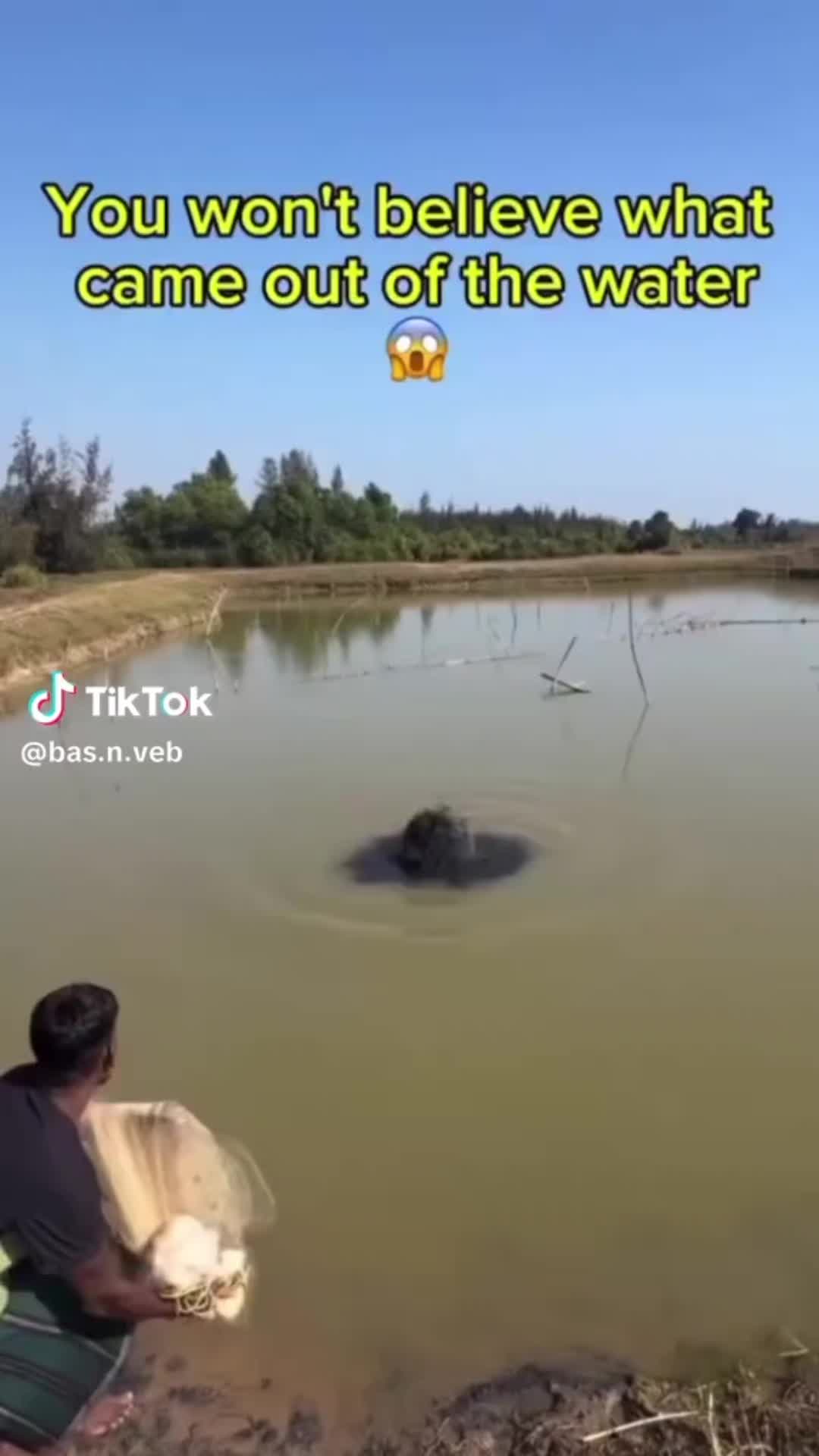 @Salfuman0