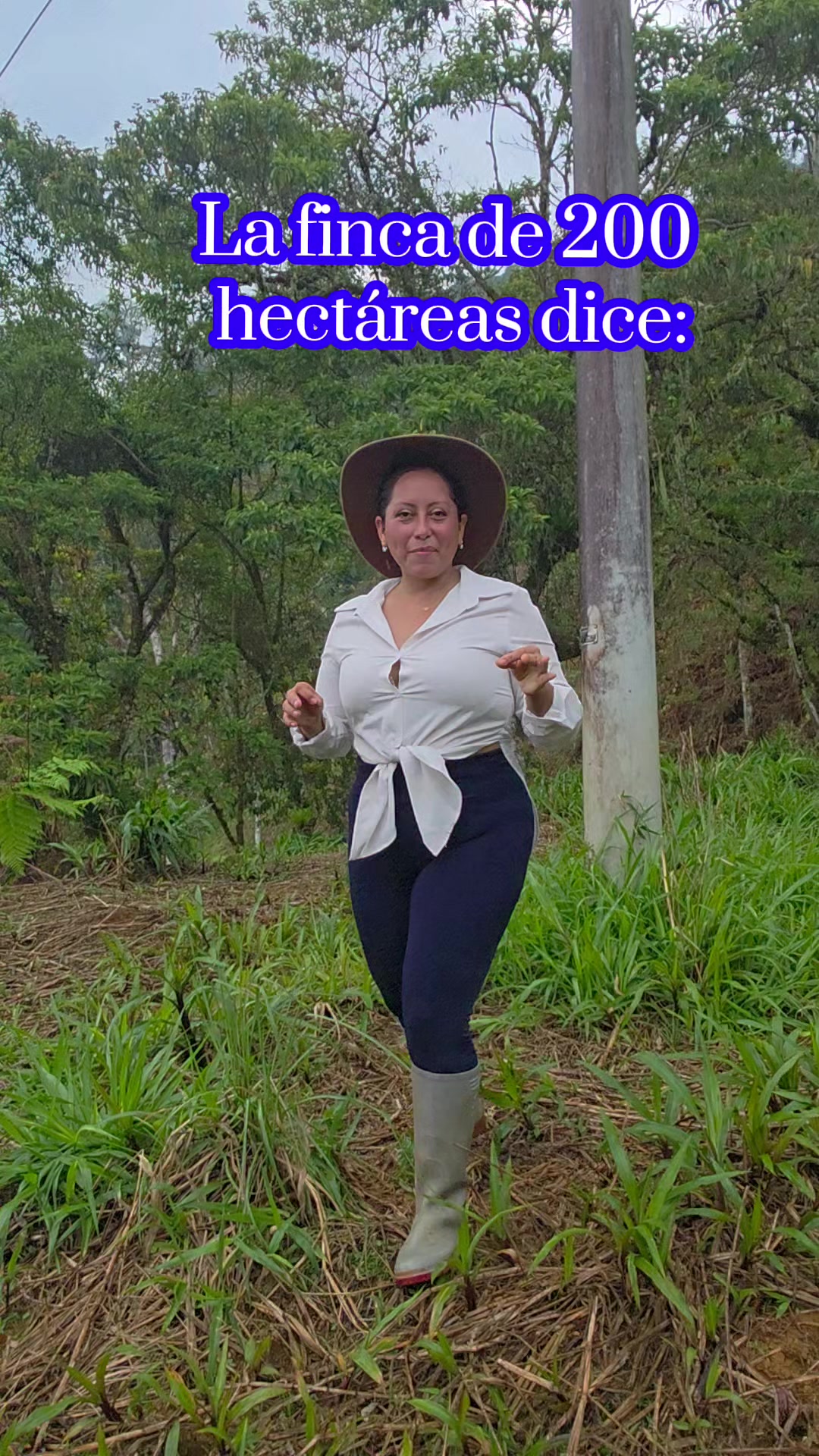 @luz