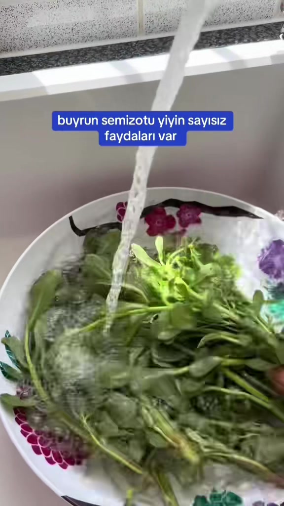 @𝐓𝐀𝐒𝐓𝐘 𝐅𝐎𝐎𝐃𝐒🥘