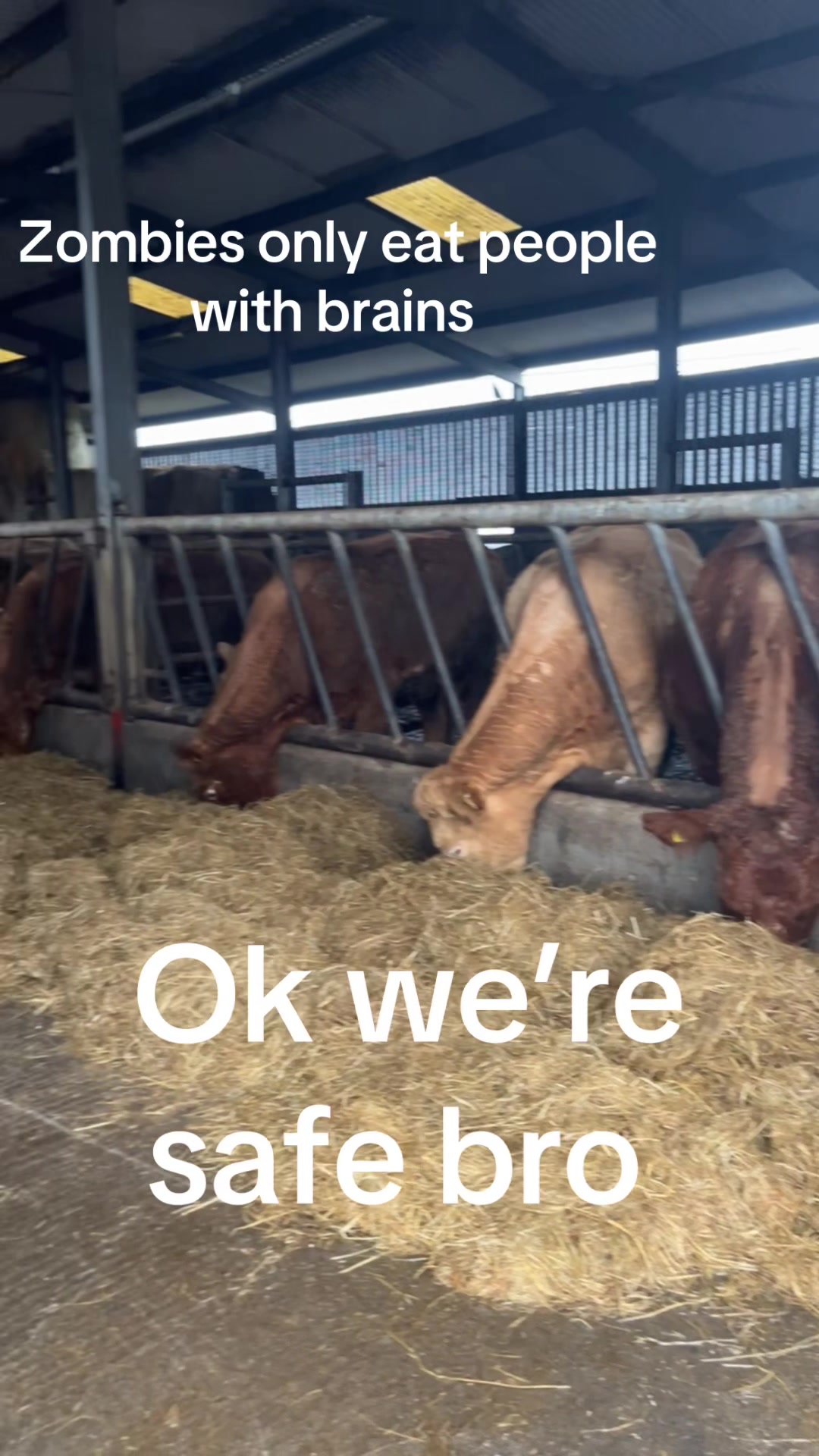 @Mulryanagri1