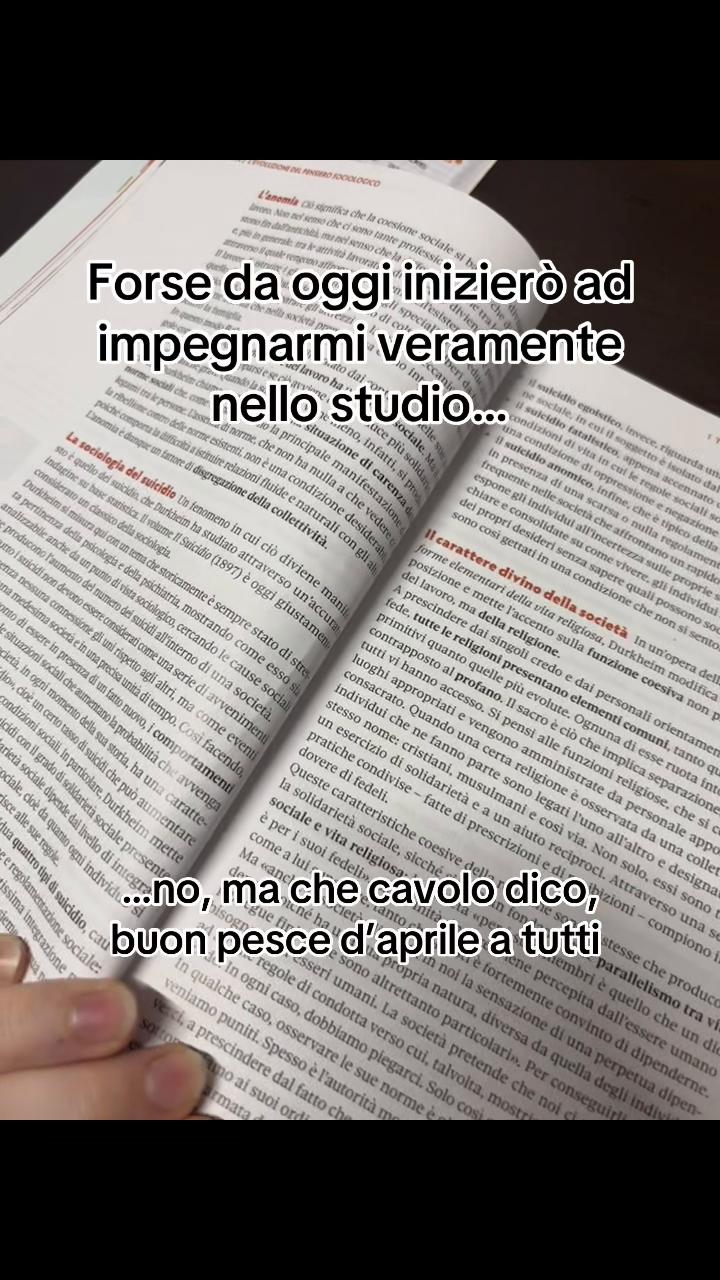 @Amelia Mettifogo