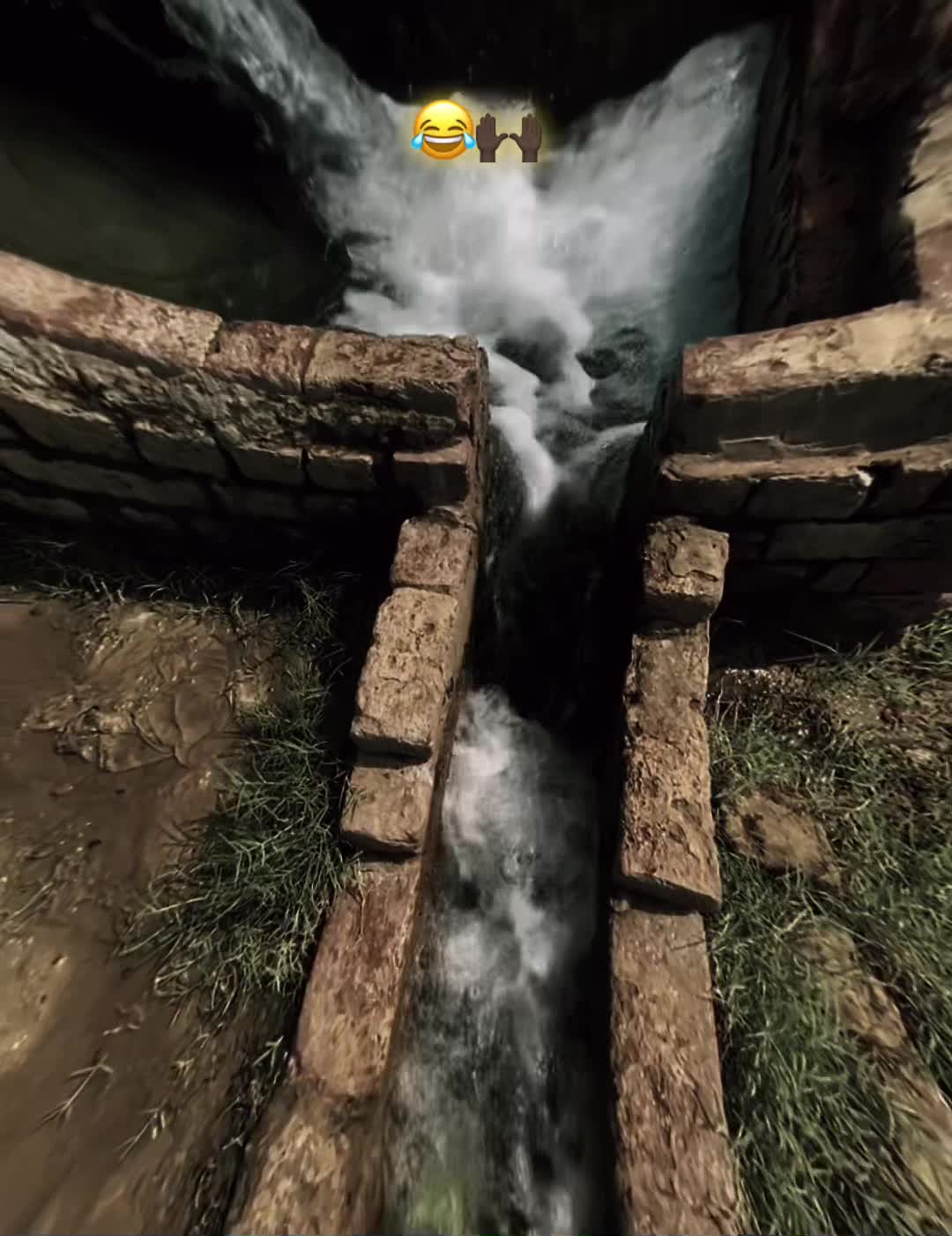 @𝐓𝐇𝐄𝐖 •̀ᴗ•́ 𓆩𝐍𝐎𝐌𝐈𓆪 🖤