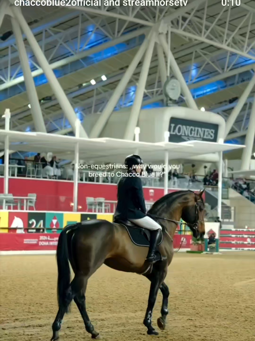 @streamhorse
