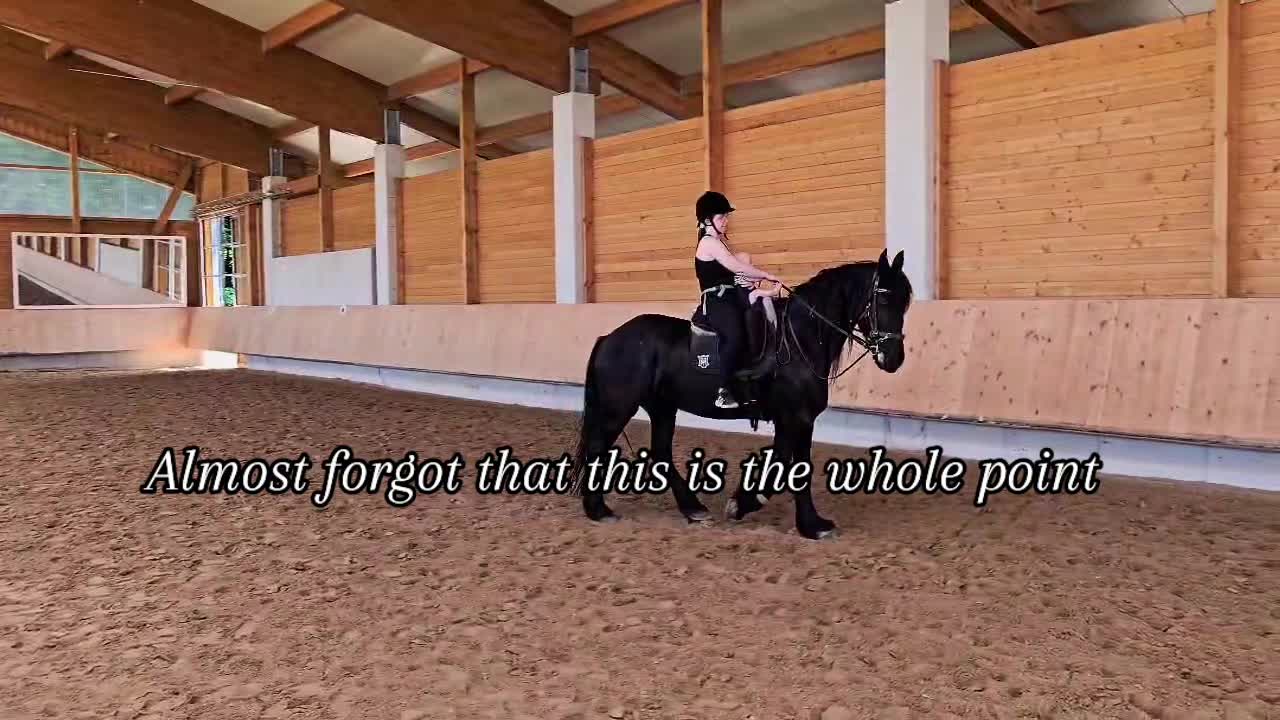 @seelenfriesen_