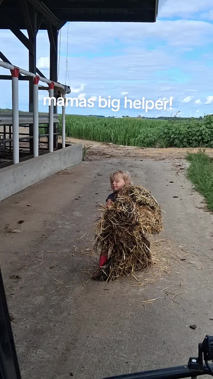 @Taylor | Sah{farm}m