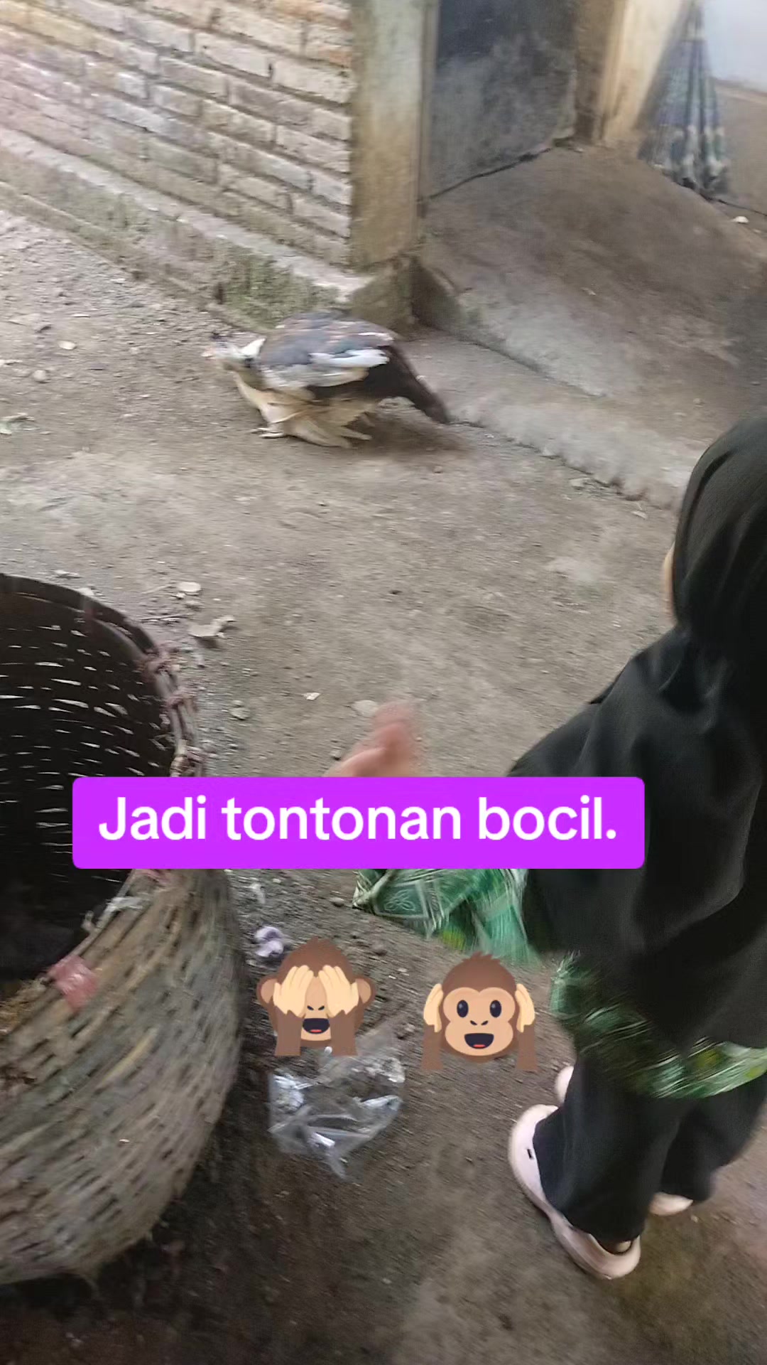 @mahira