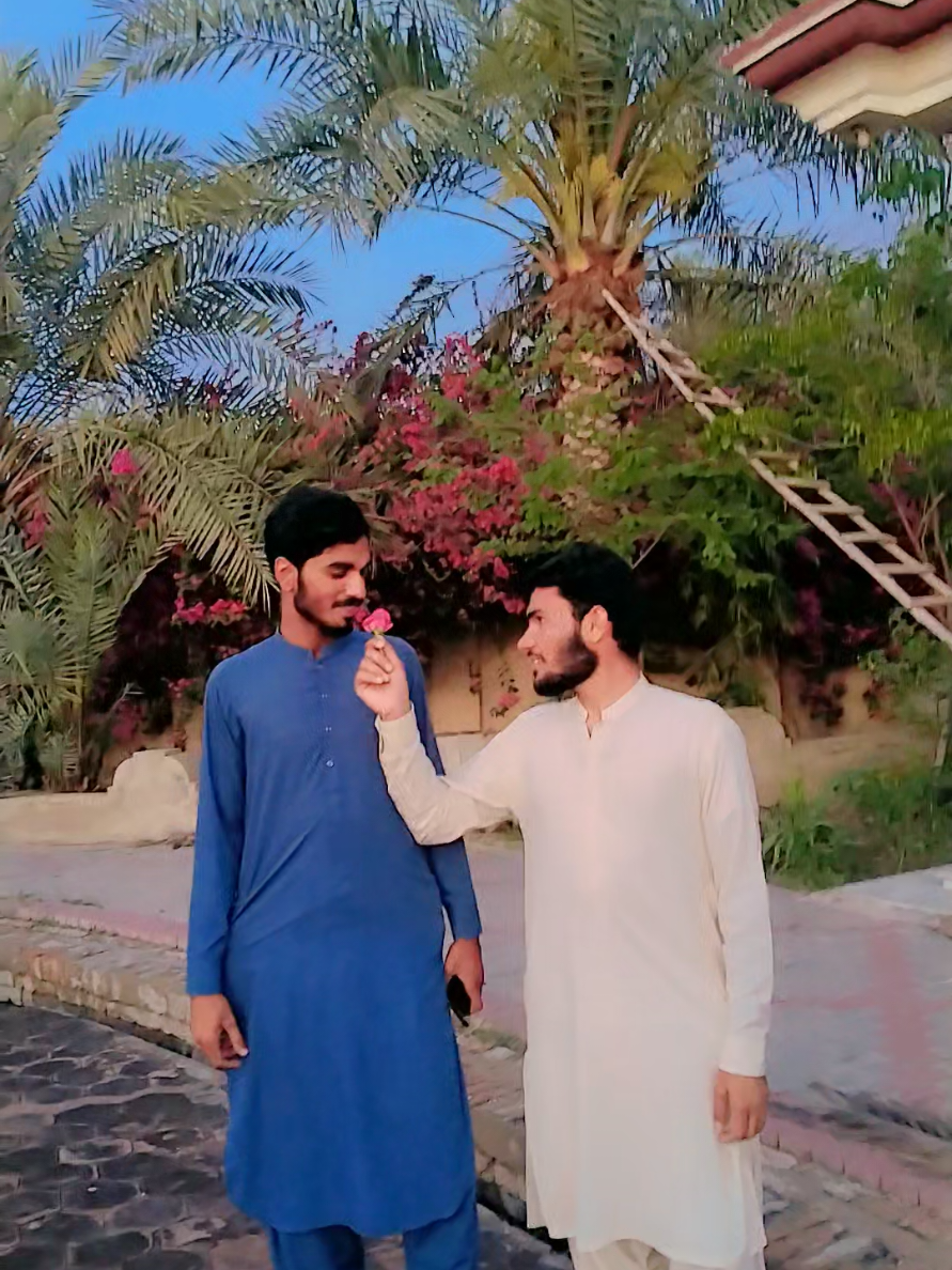 @zubair Mirani