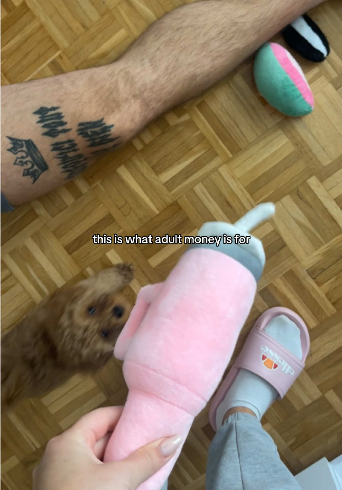 @mickythepoo | UGC Creator