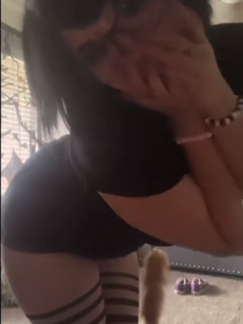@younghopalace