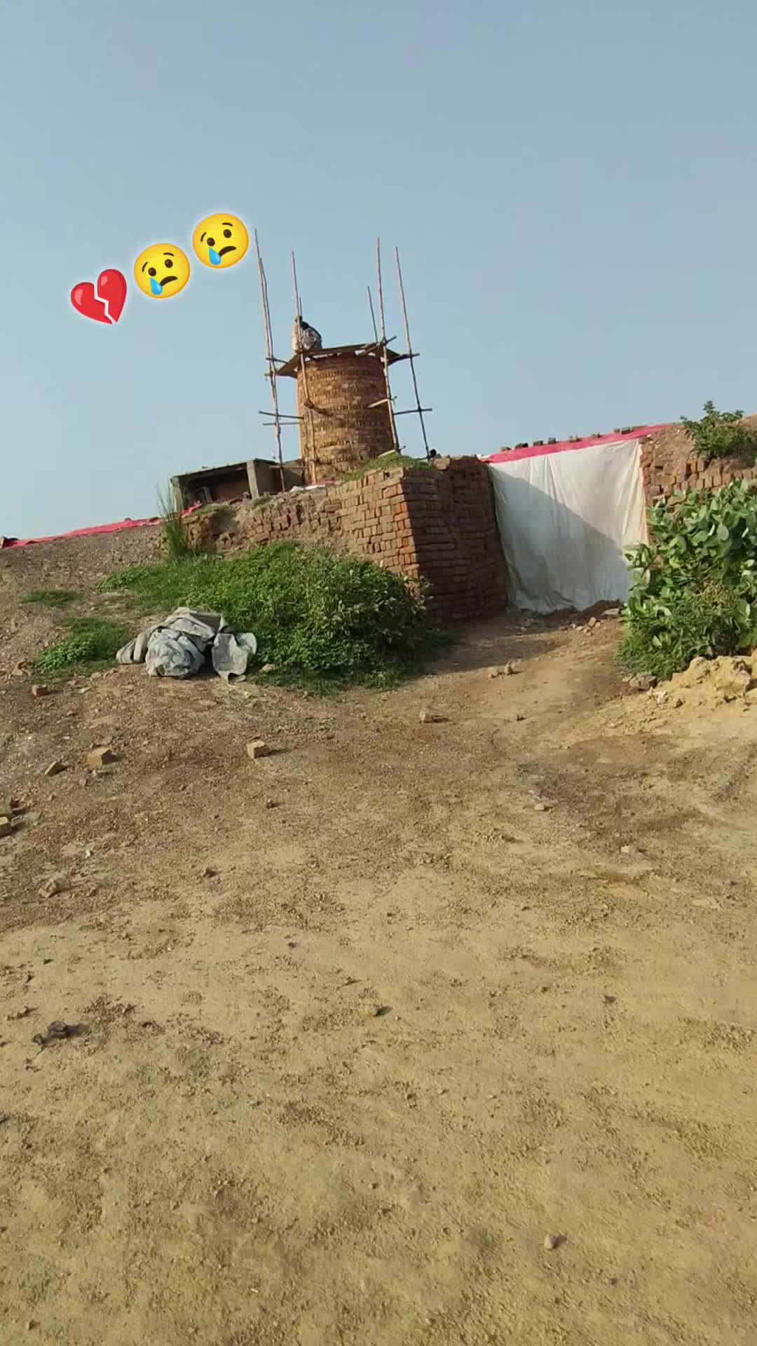 @mshan5213