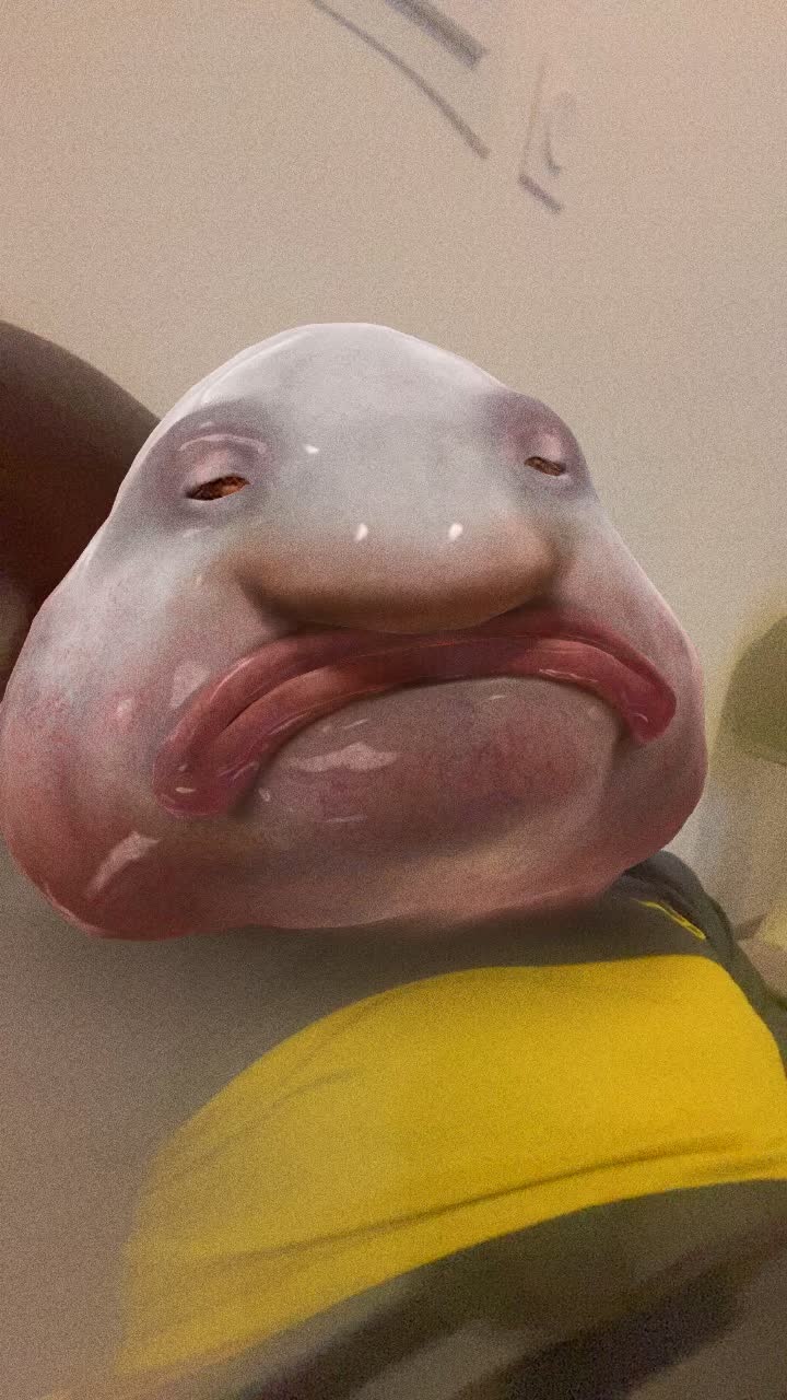 @Les aventures de JUJU