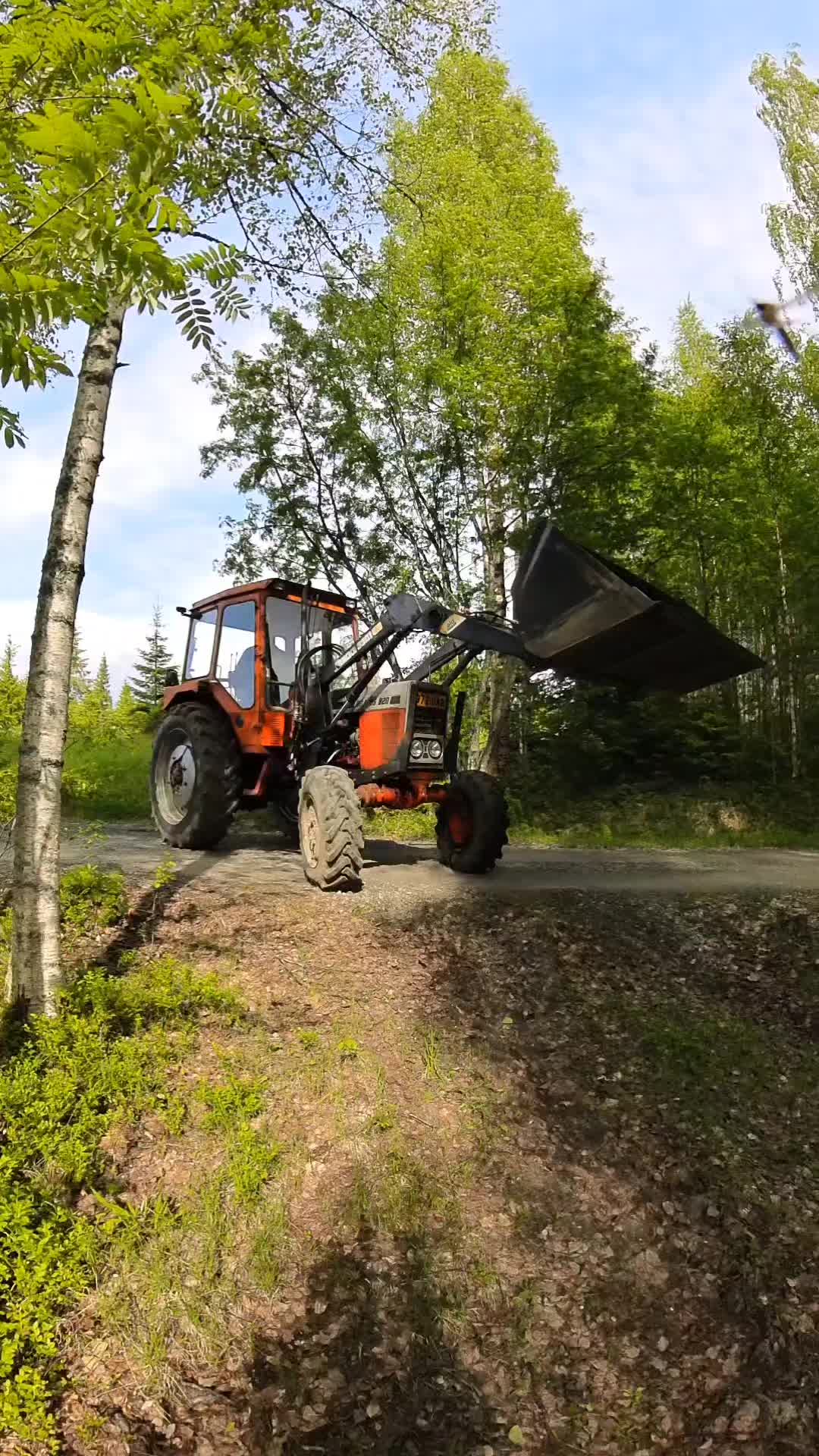 @ForestAndWheels