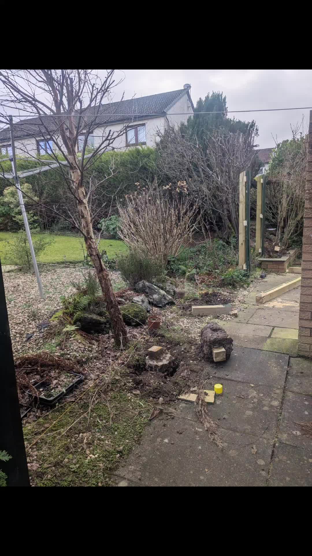 @Glasgow_Tree_Care